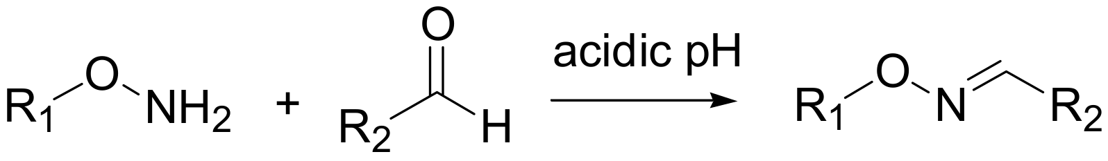 Molecules 15 00178 sch002