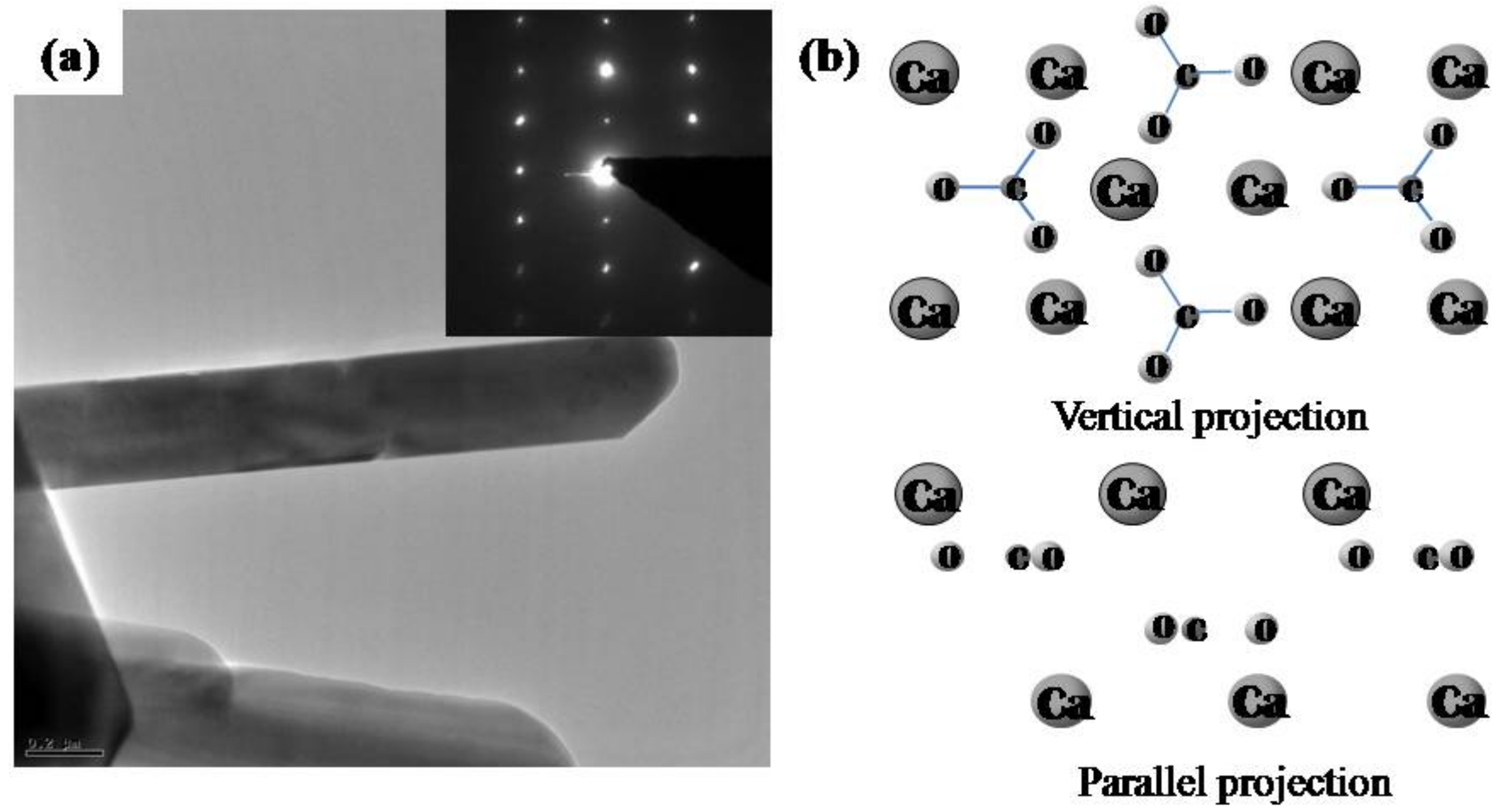 Molecules 15 00258 g005