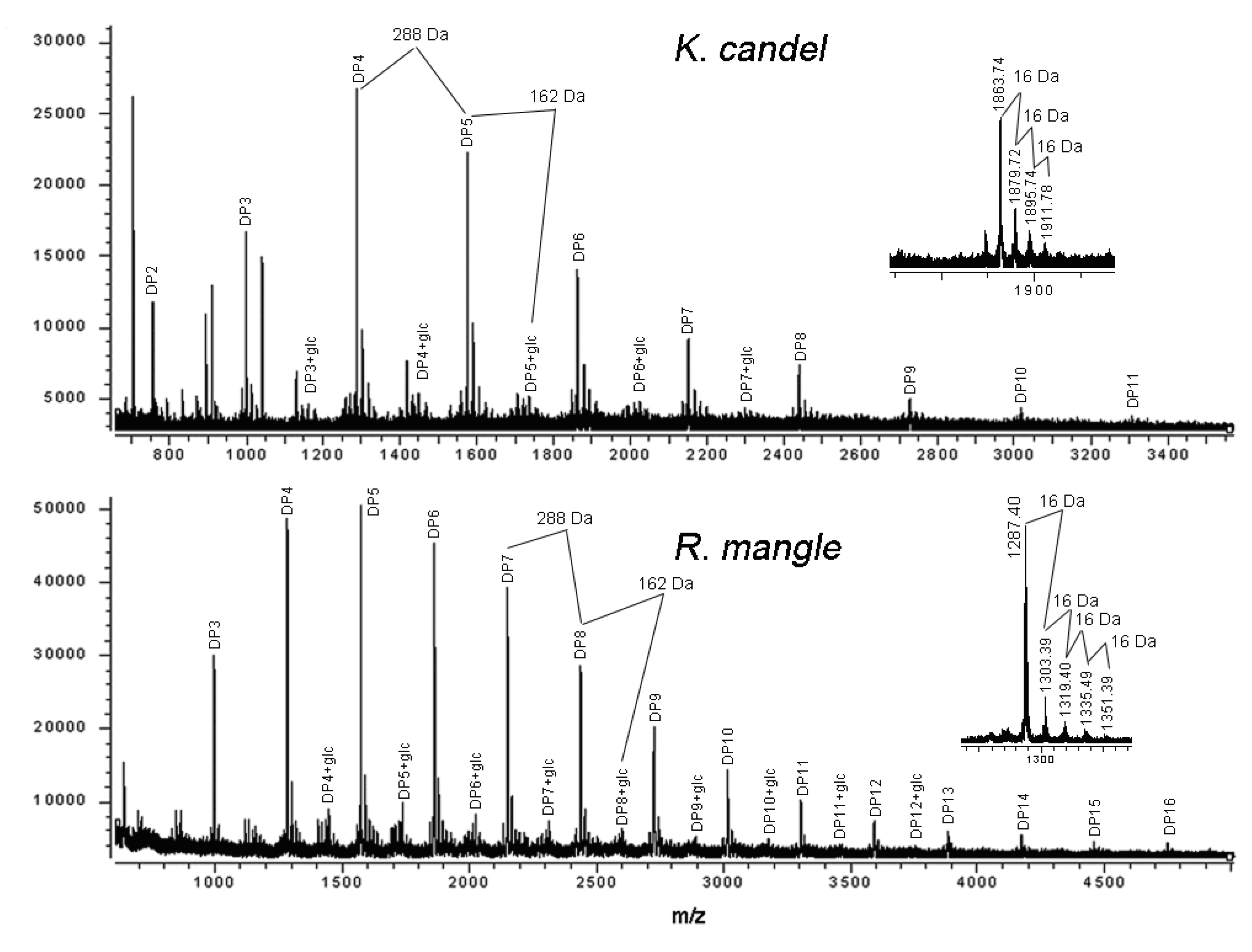Molecules 15 00420 g002
