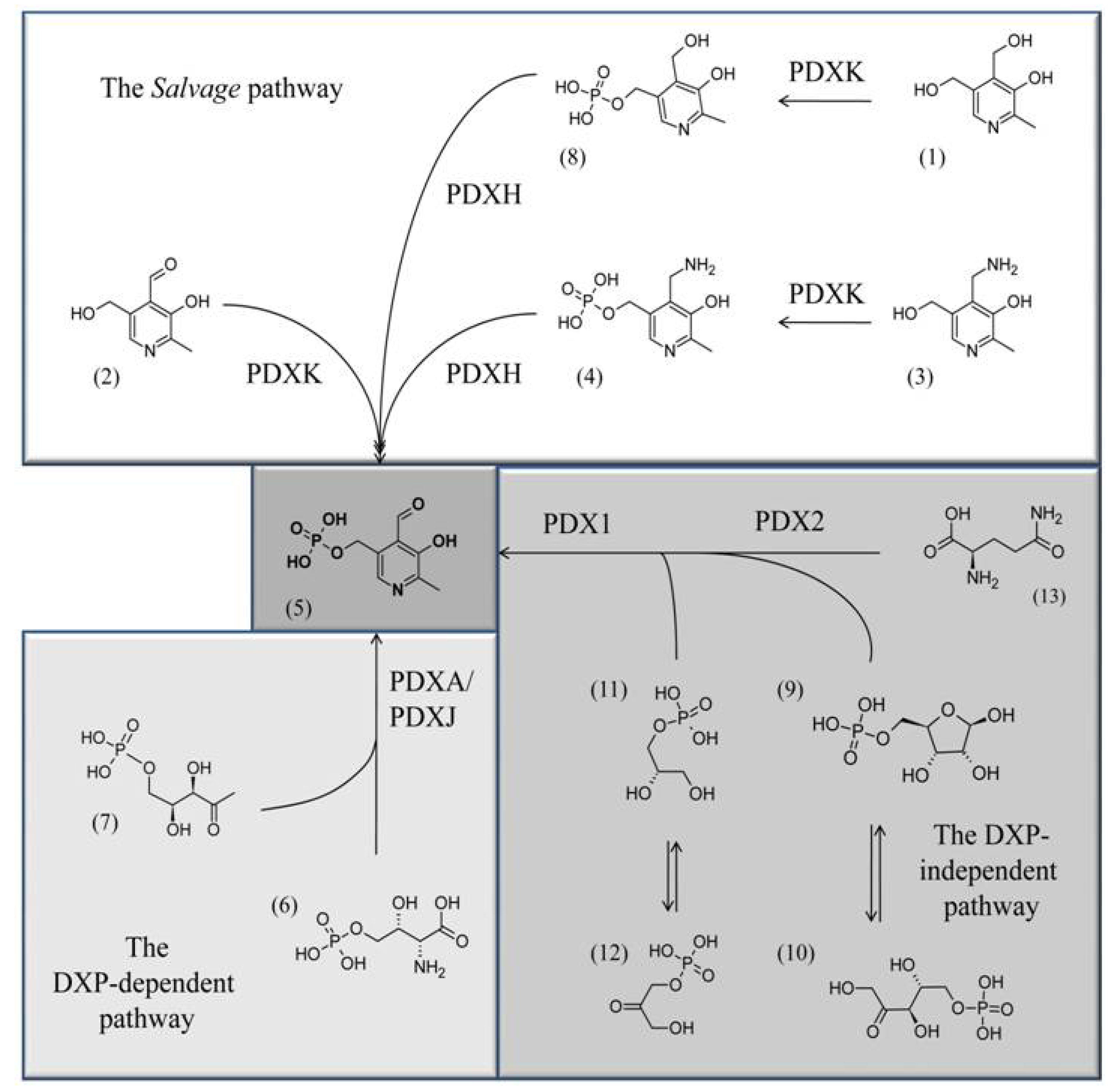 Molecules 15 00442 g001