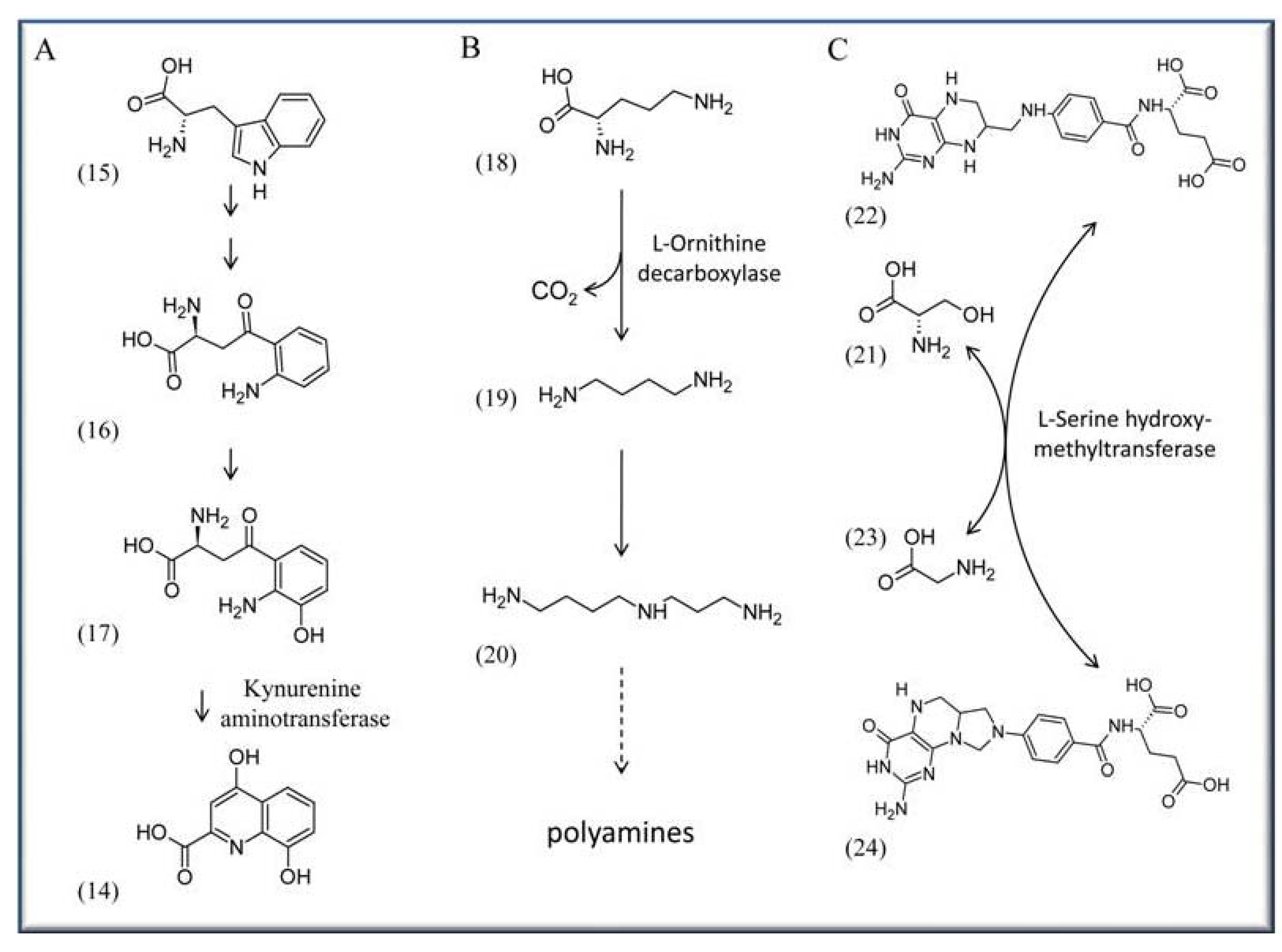 Molecules 15 00442 g002