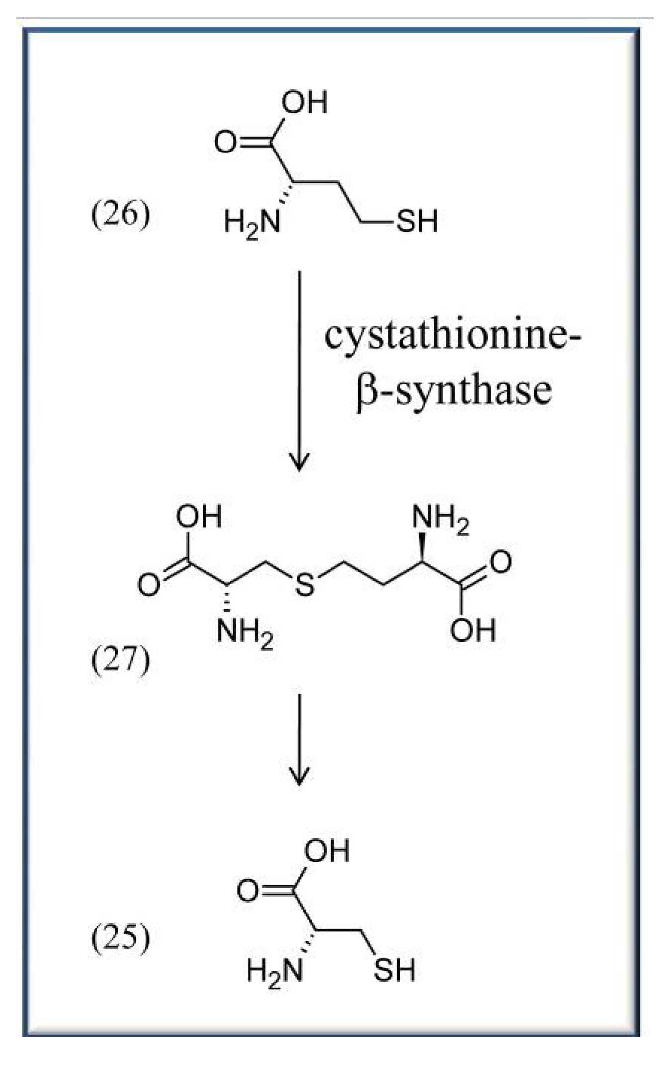 Molecules 15 00442 g003