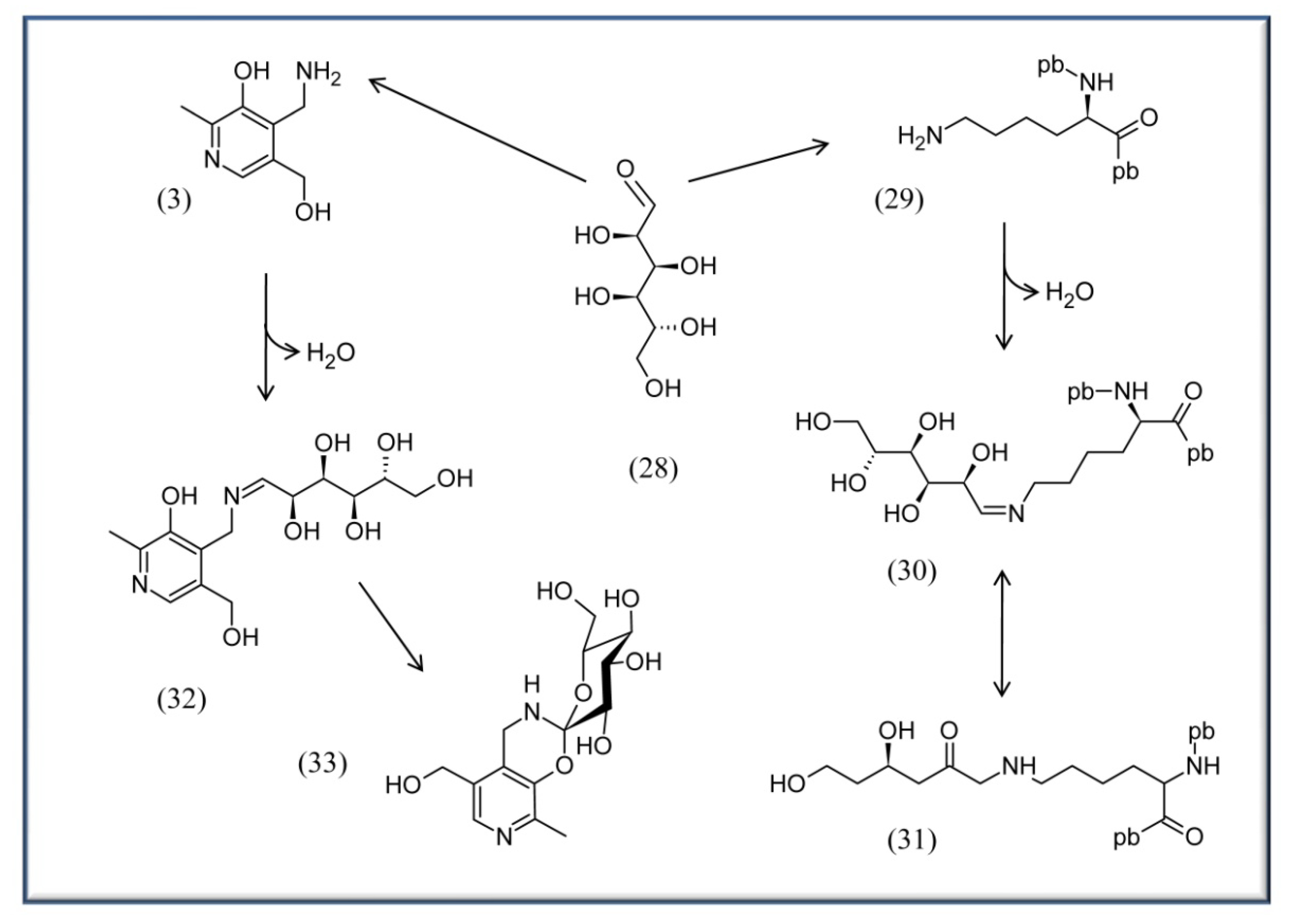 Molecules 15 00442 g004