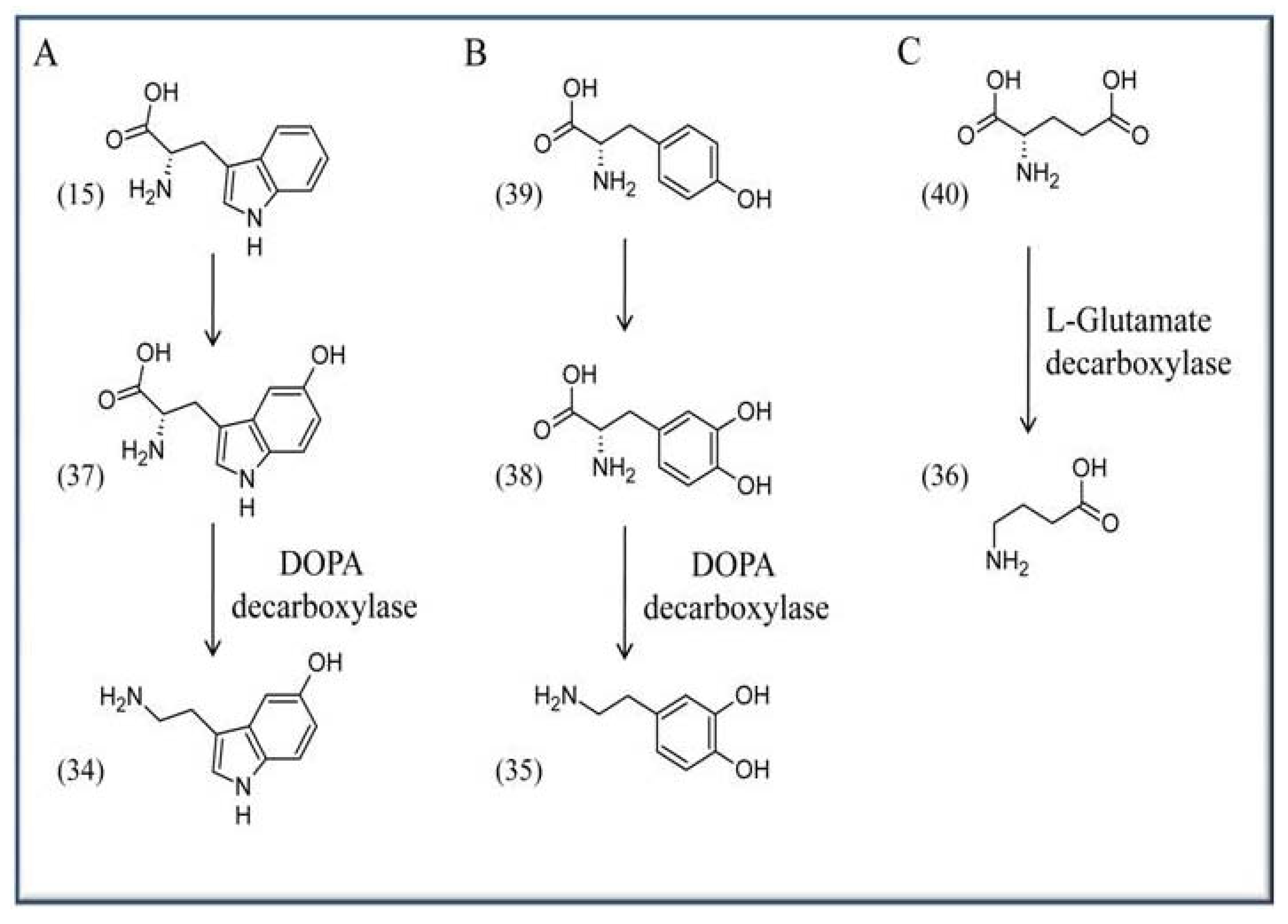 Molecules 15 00442 g005