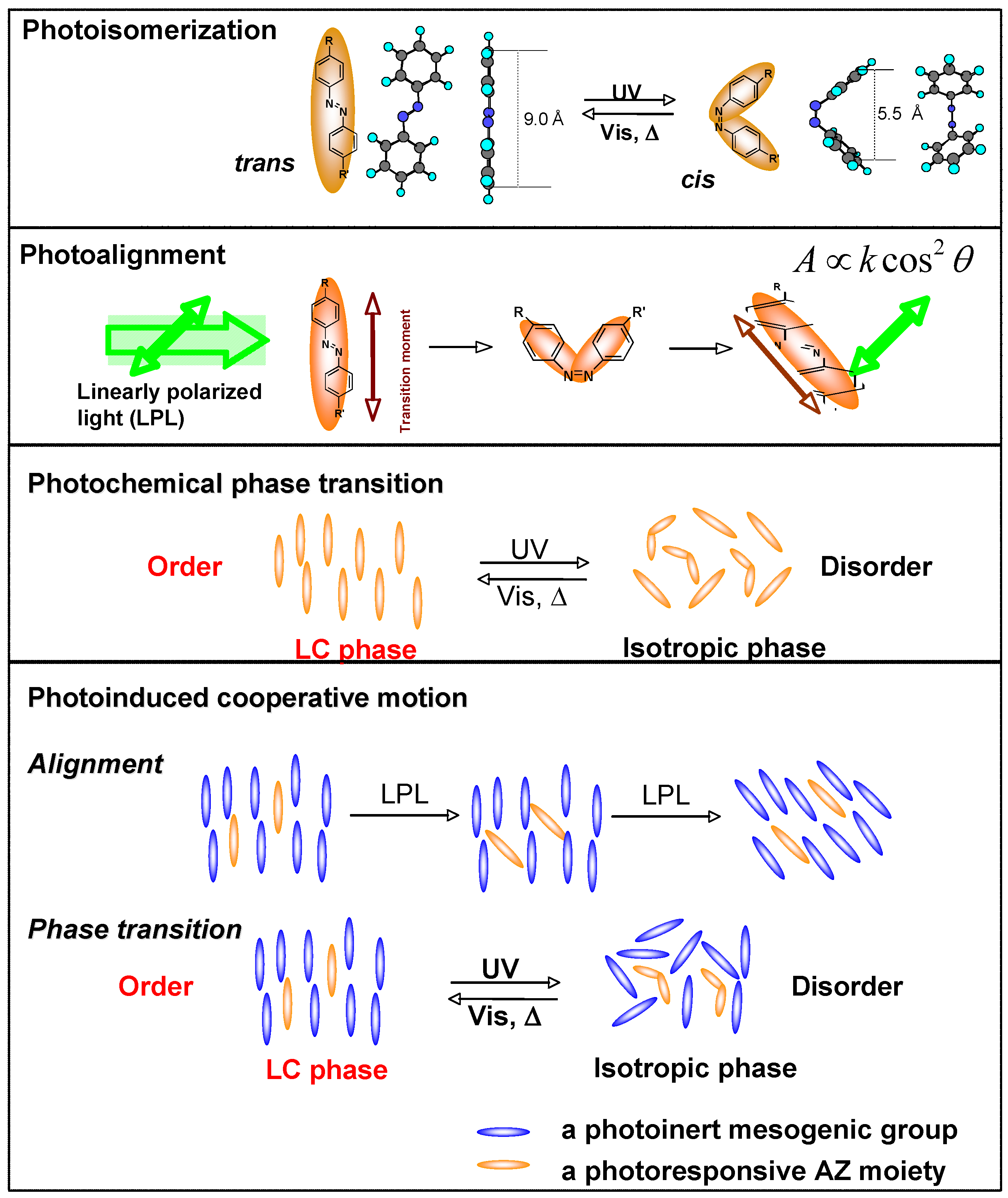 Molecules 15 00570 g006 550
