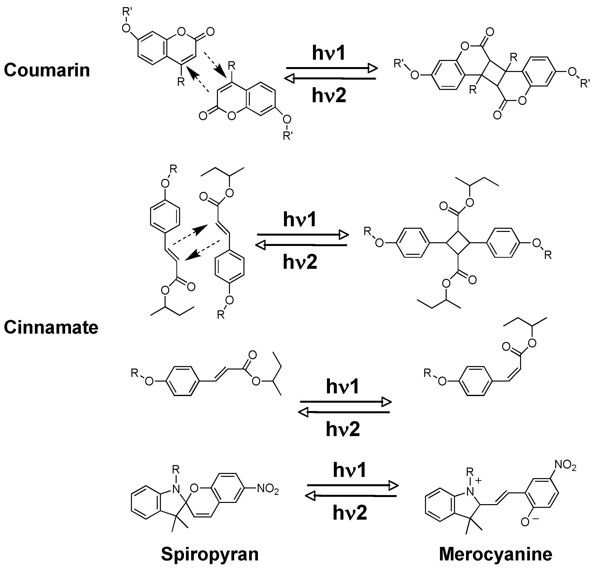 Molecules 15 00570 g007 550