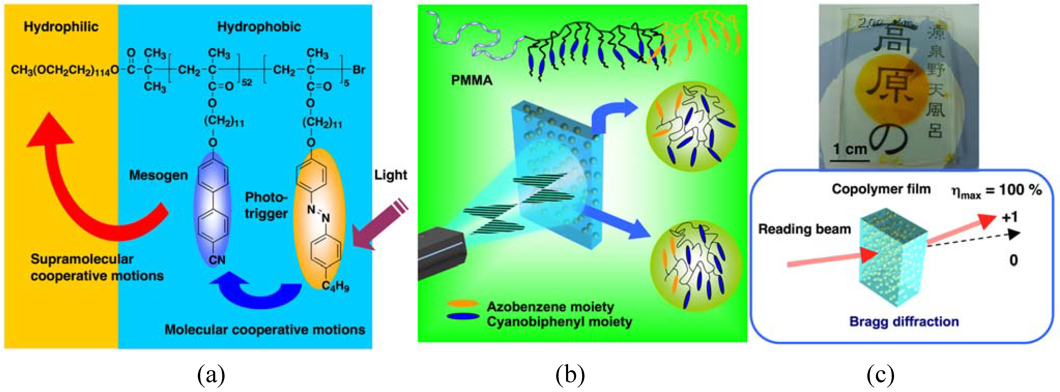 Molecules 15 00570 g008 550