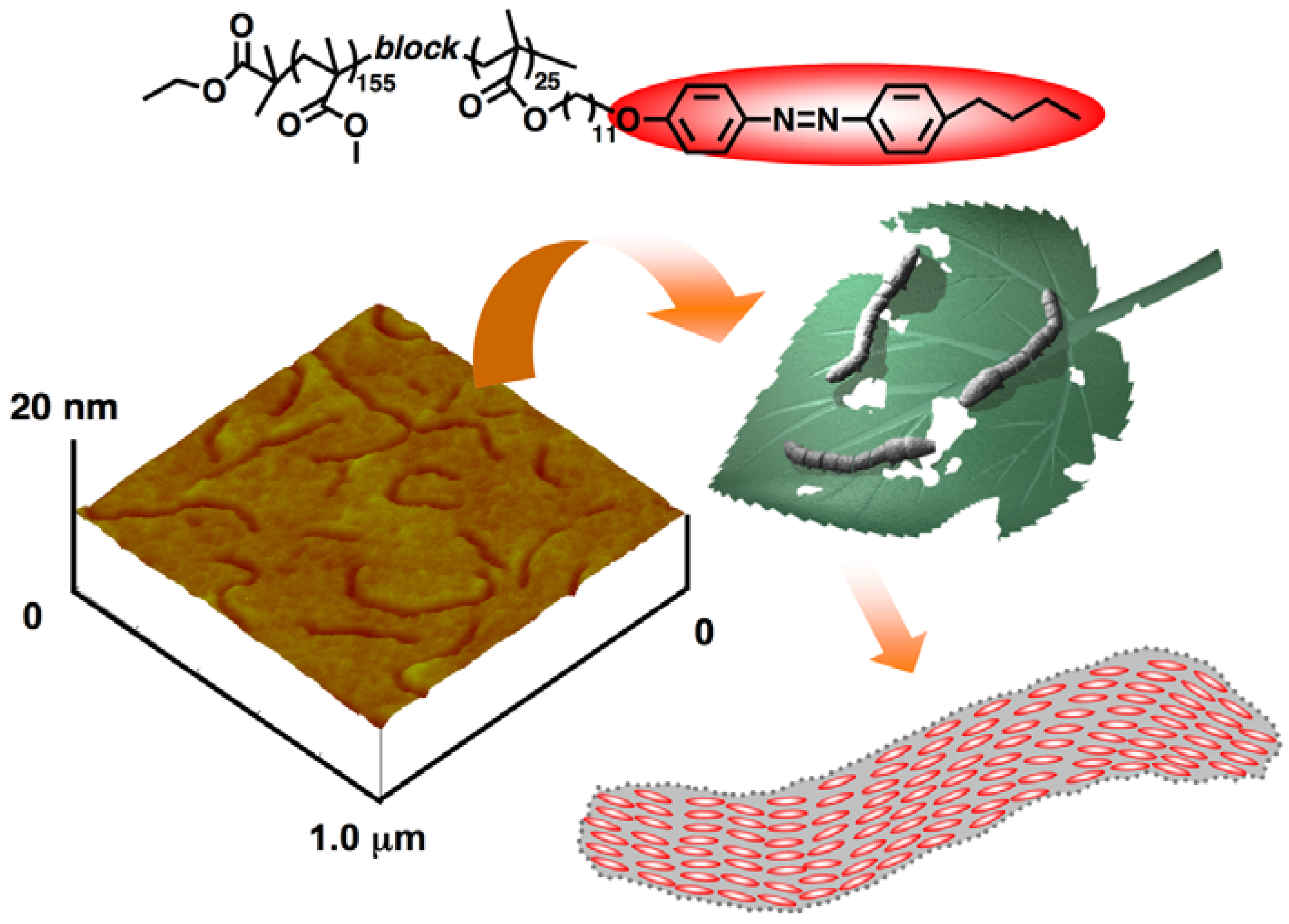 Molecules 15 00570 g010 550