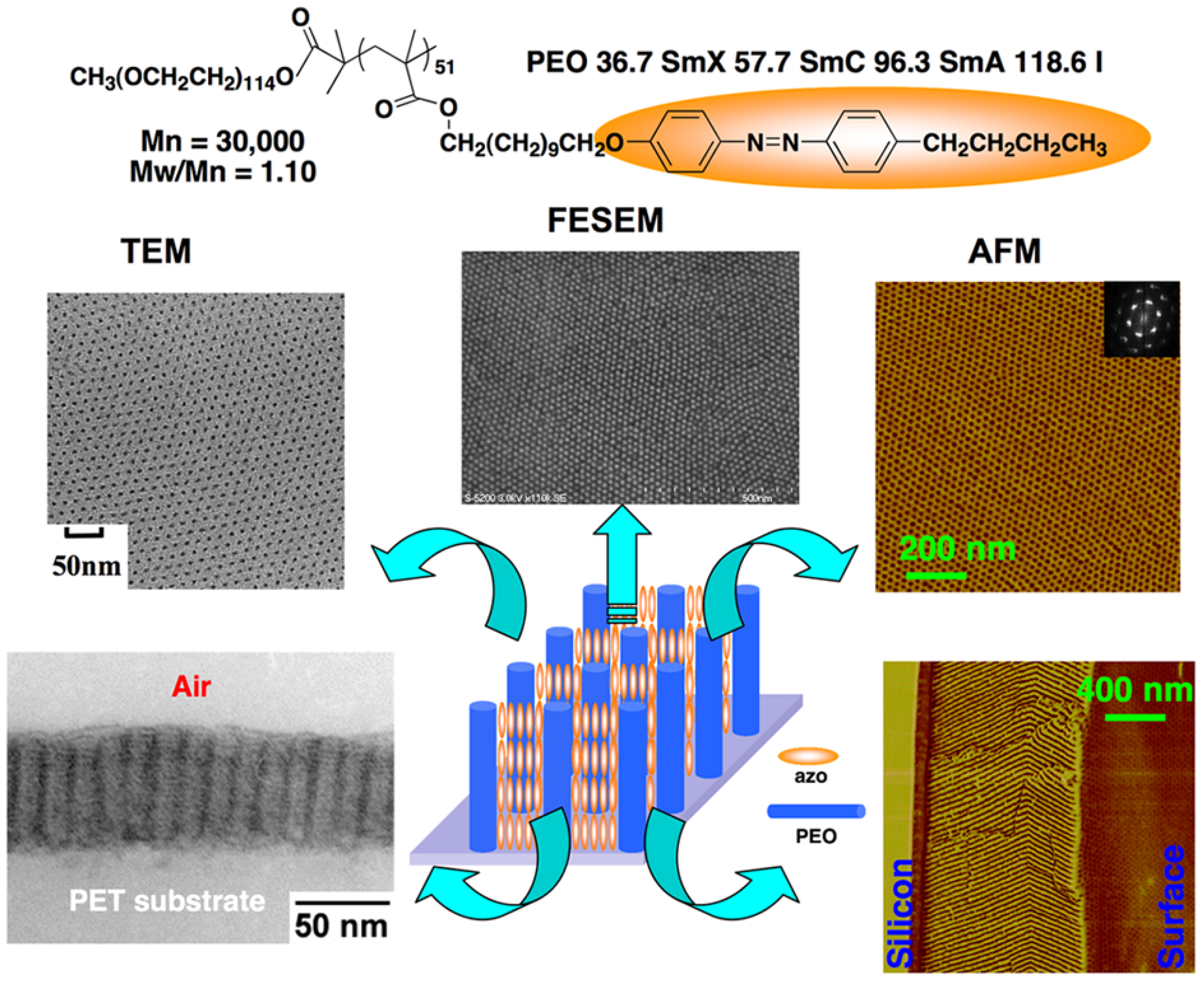 Molecules 15 00570 g013 550