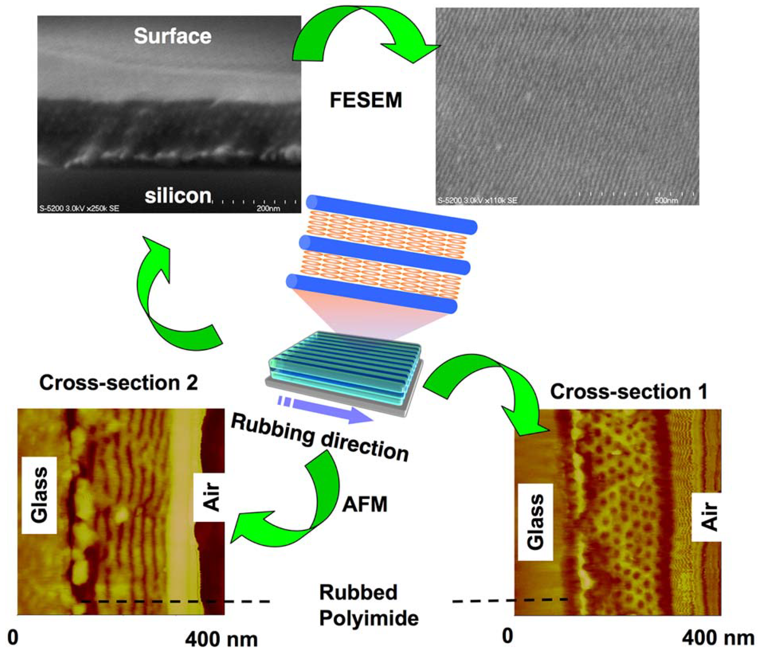 Molecules 15 00570 g014 550
