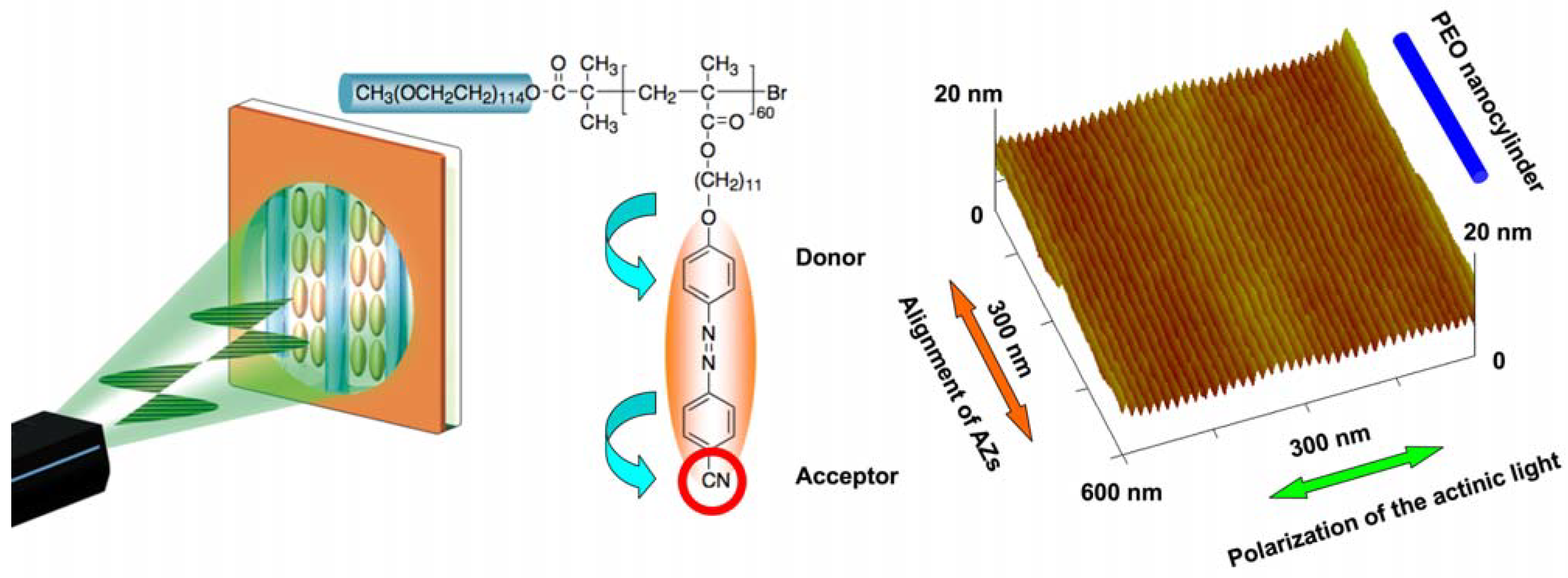 Molecules 15 00570 g015 550