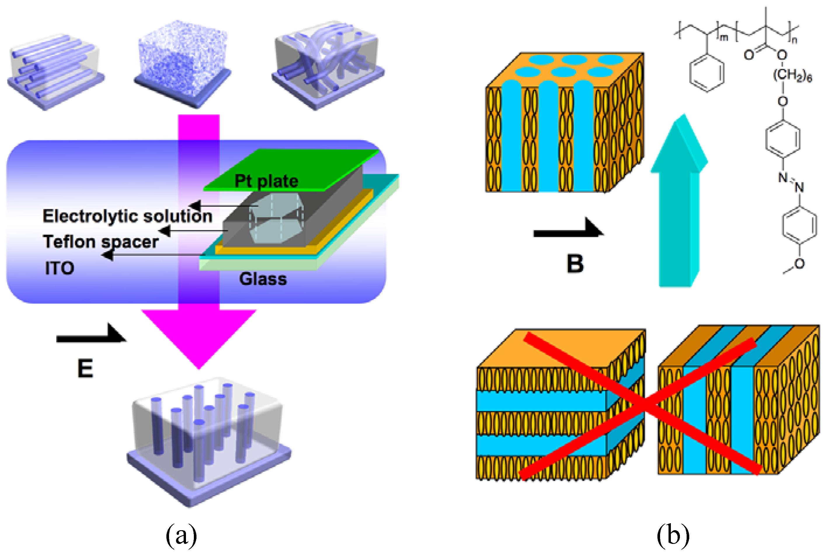 Molecules 15 00570 g016 550