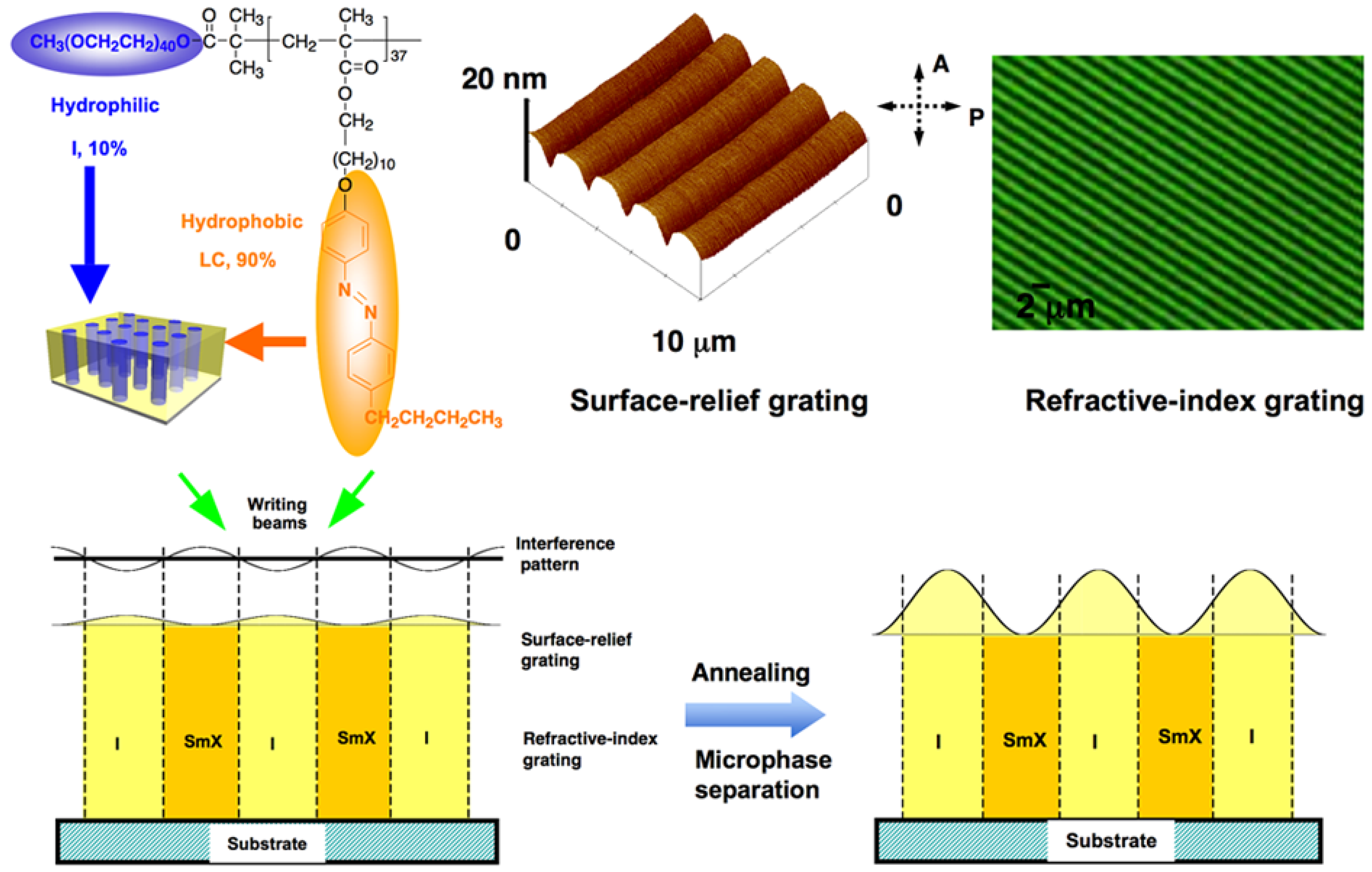 Molecules 15 00570 g017 550