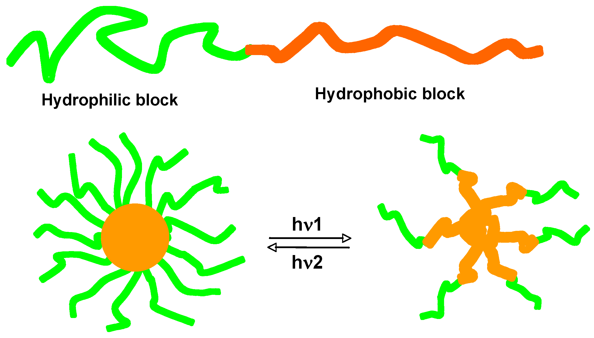 Molecules 15 00570 g022 550