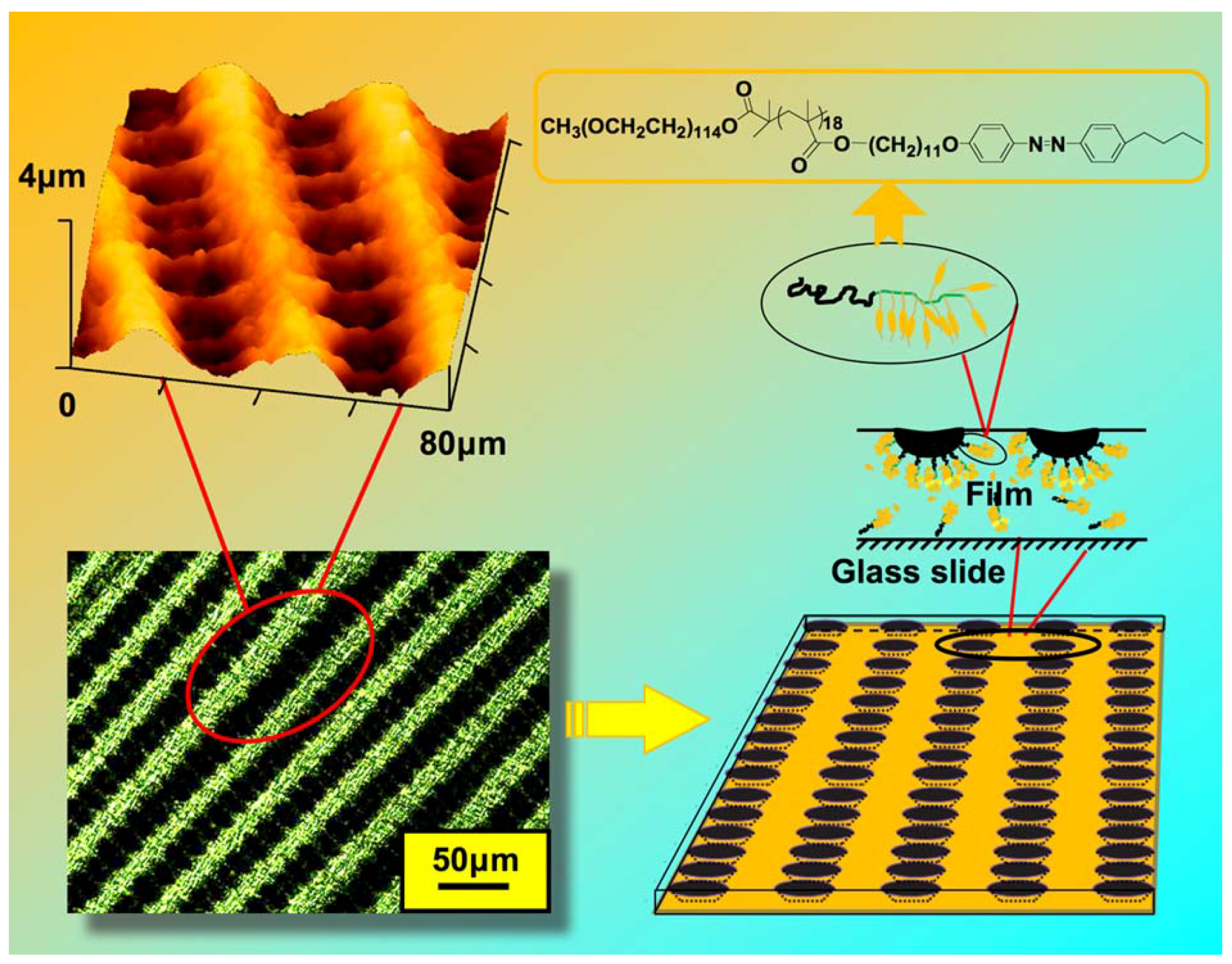 Molecules 15 00570 g023 550