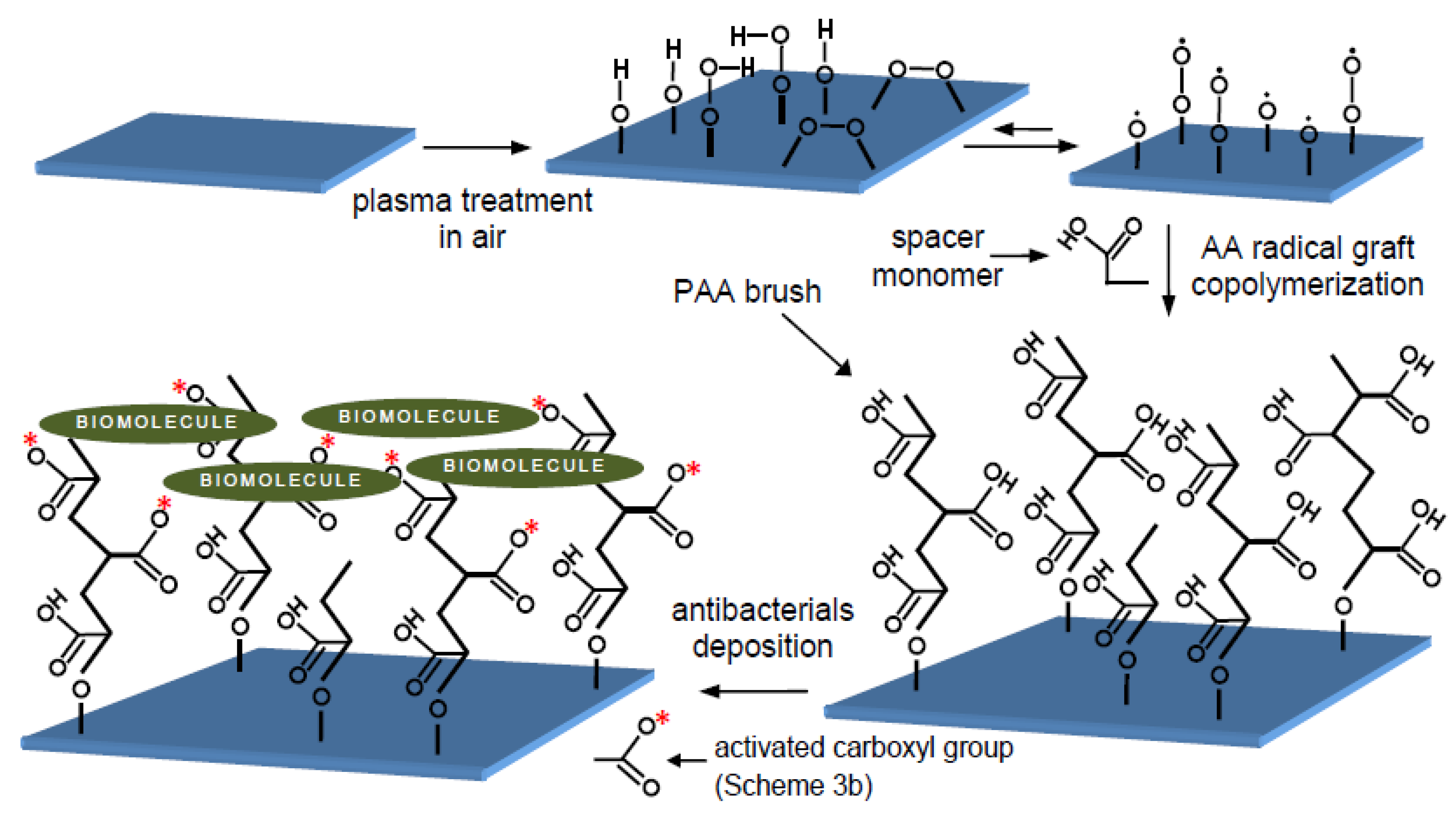 Molecules Free FullText Polysaccharides Coatings on MedicalGrade