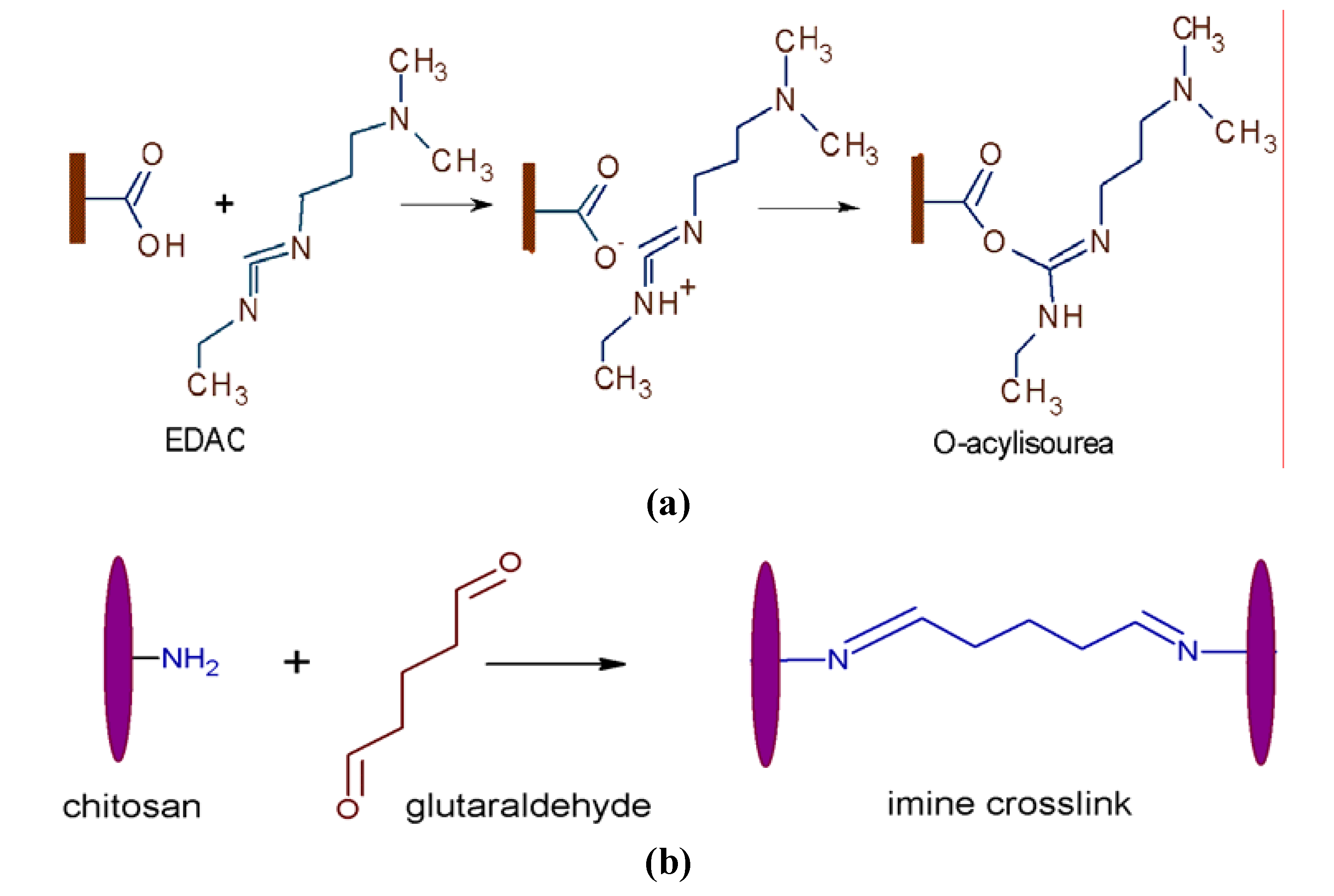Molecules 15 01007 g009 550