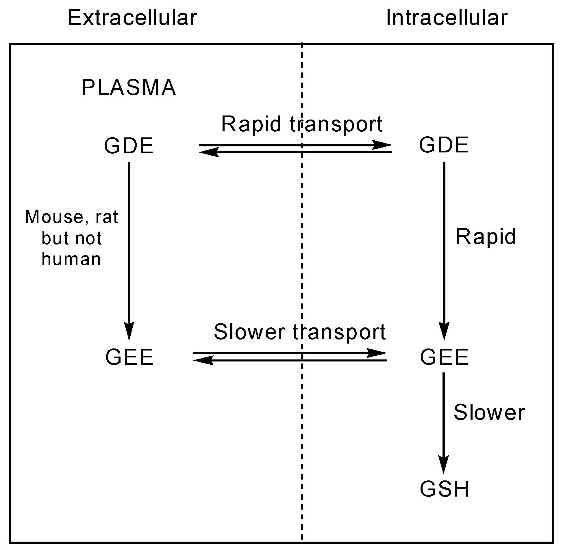 Molecules 15 01242 g003