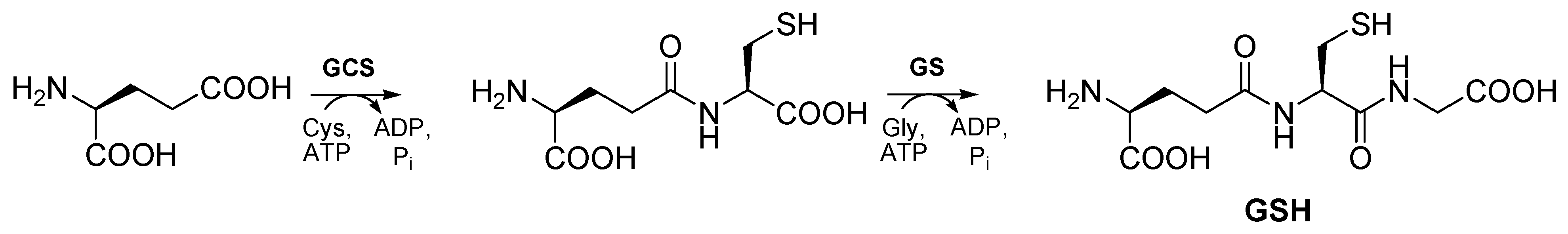 Molecules 15 01242 sch001