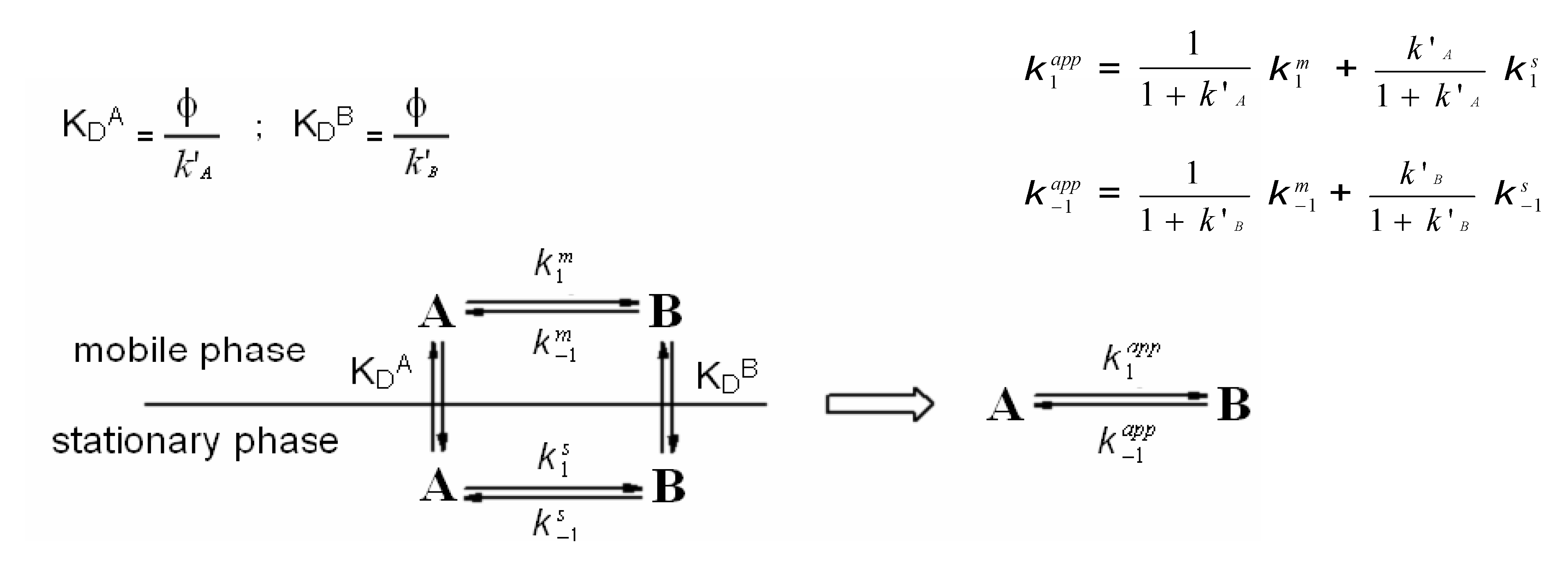 Molecules 15 01309 g009