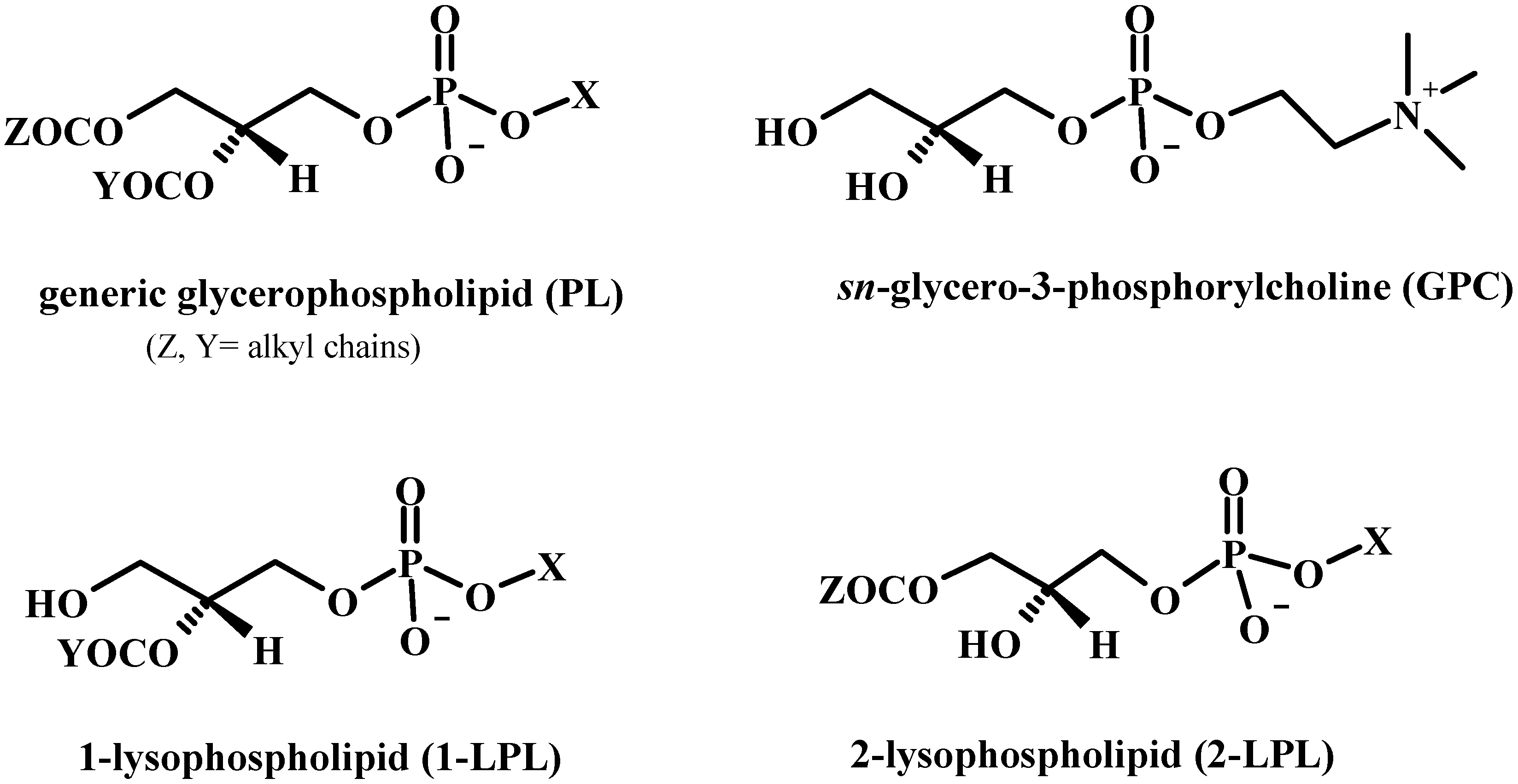 Molecules 15 01354 g001