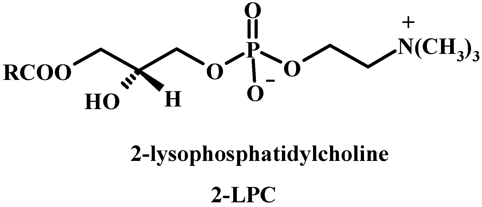 Molecules 15 01354 g002