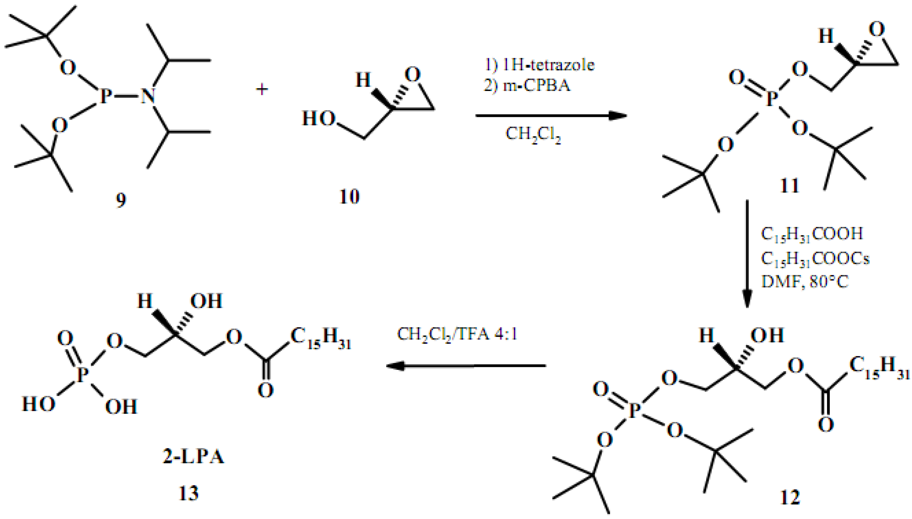 Molecules 15 01354 g006
