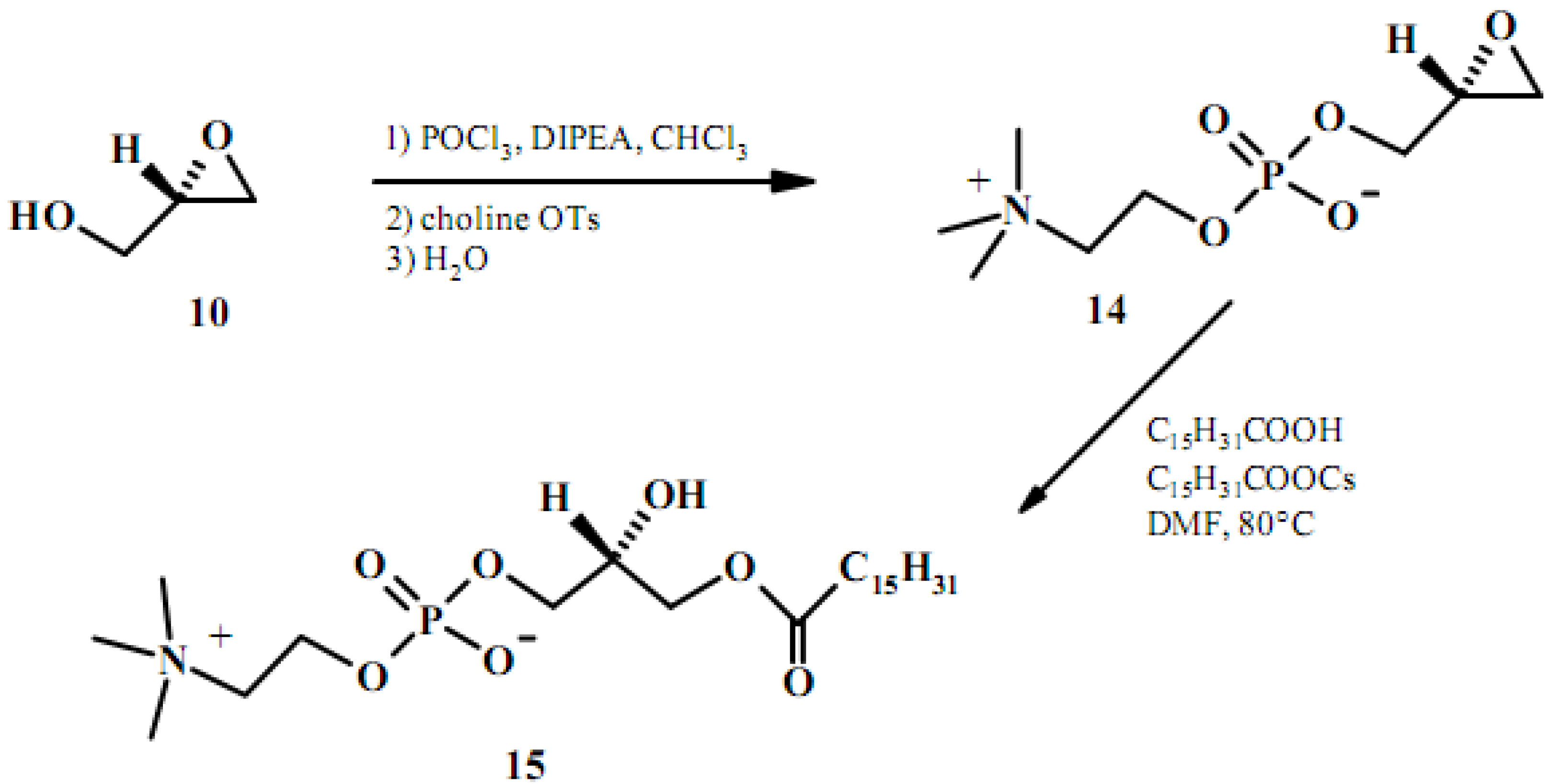 Molecules 15 01354 g007