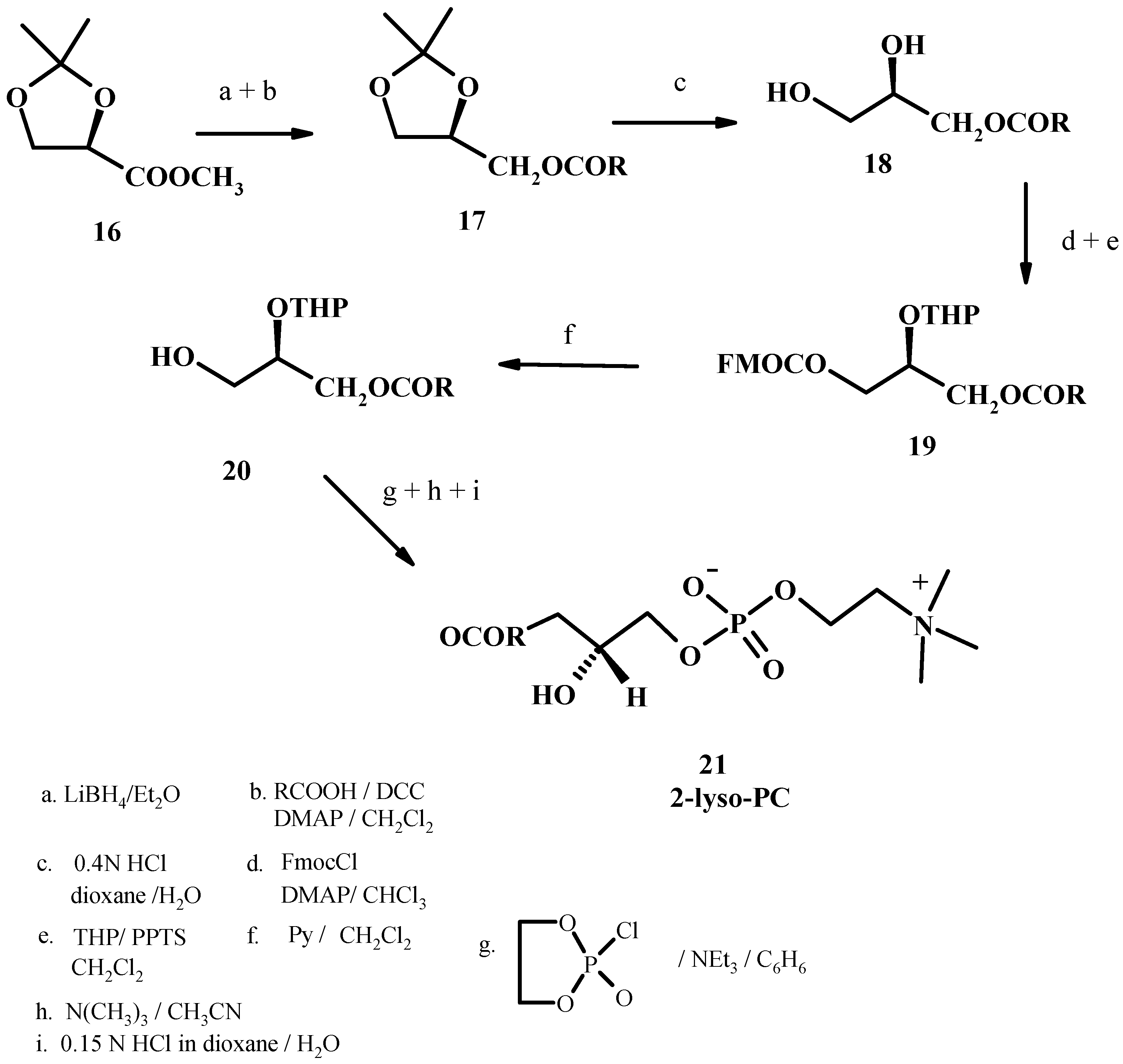 Molecules 15 01354 g008