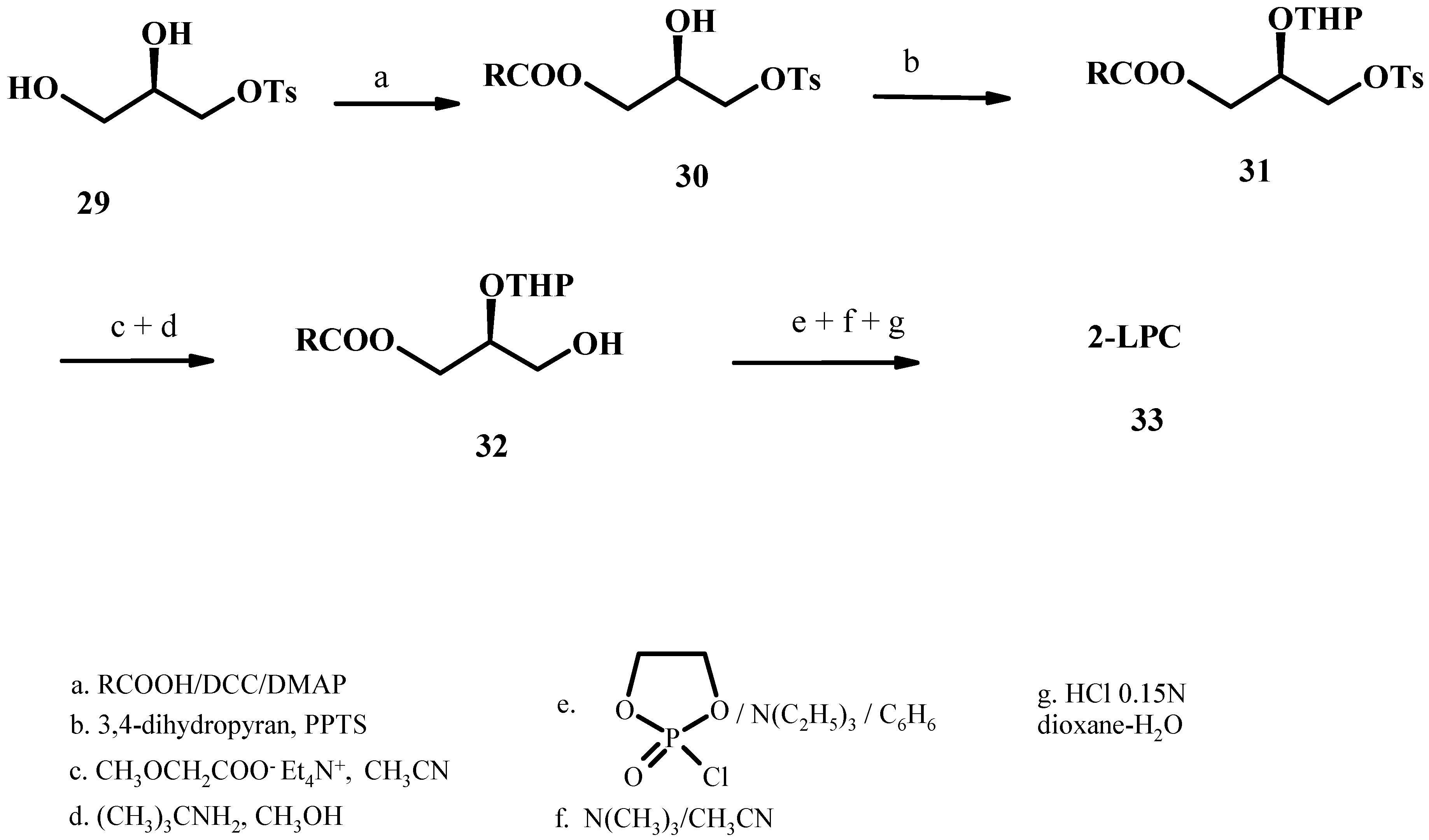 Molecules 15 01354 g010