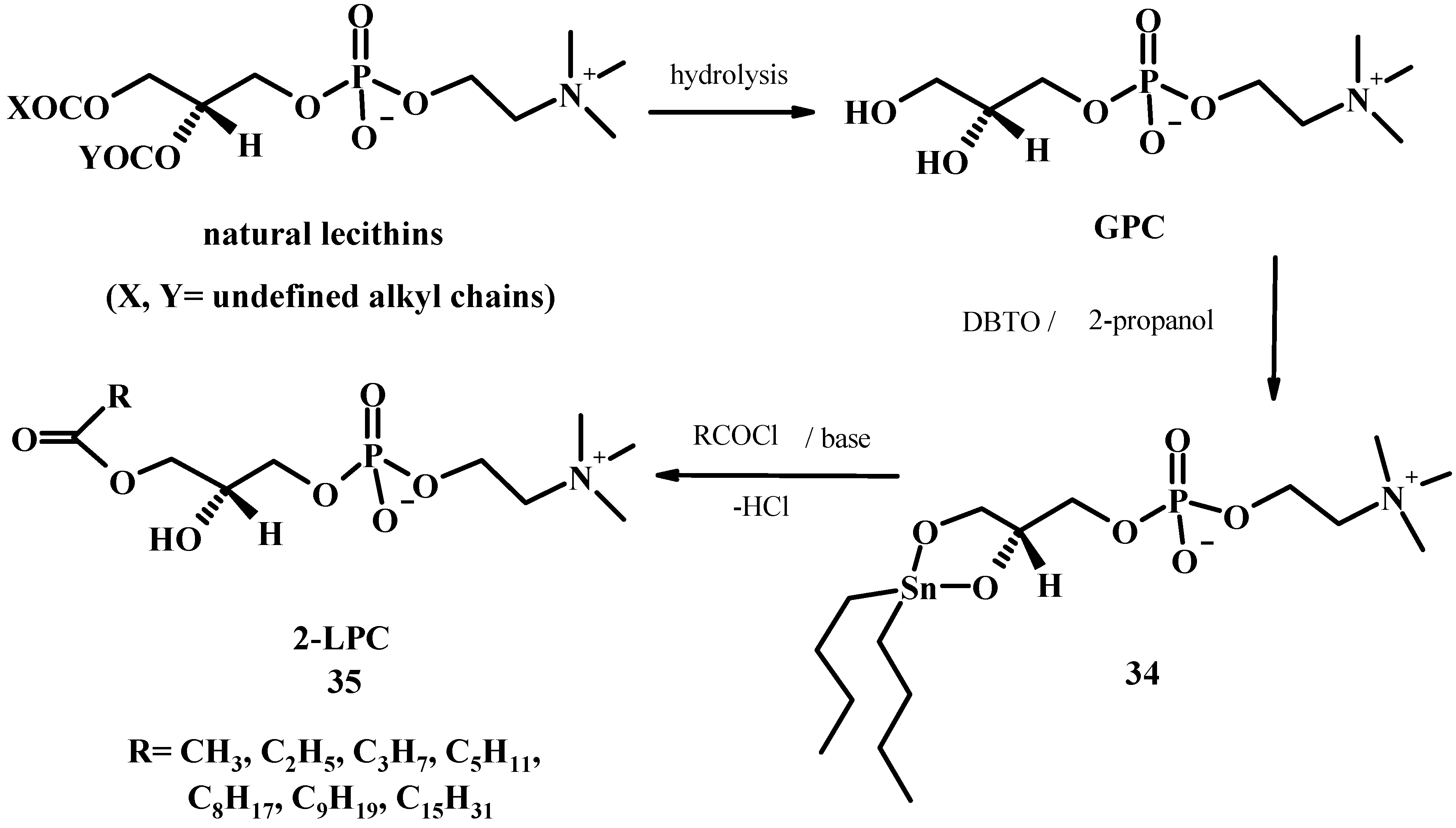 Molecules 15 01354 g011