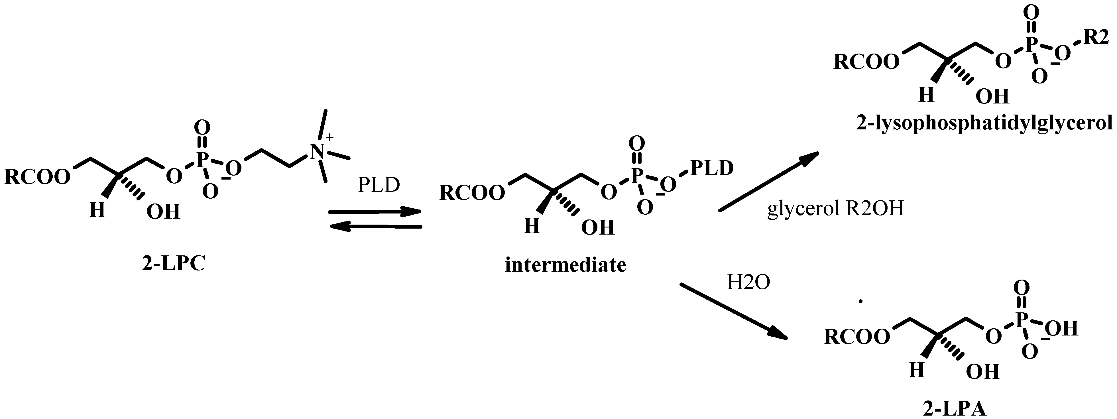 Molecules 15 01354 g015