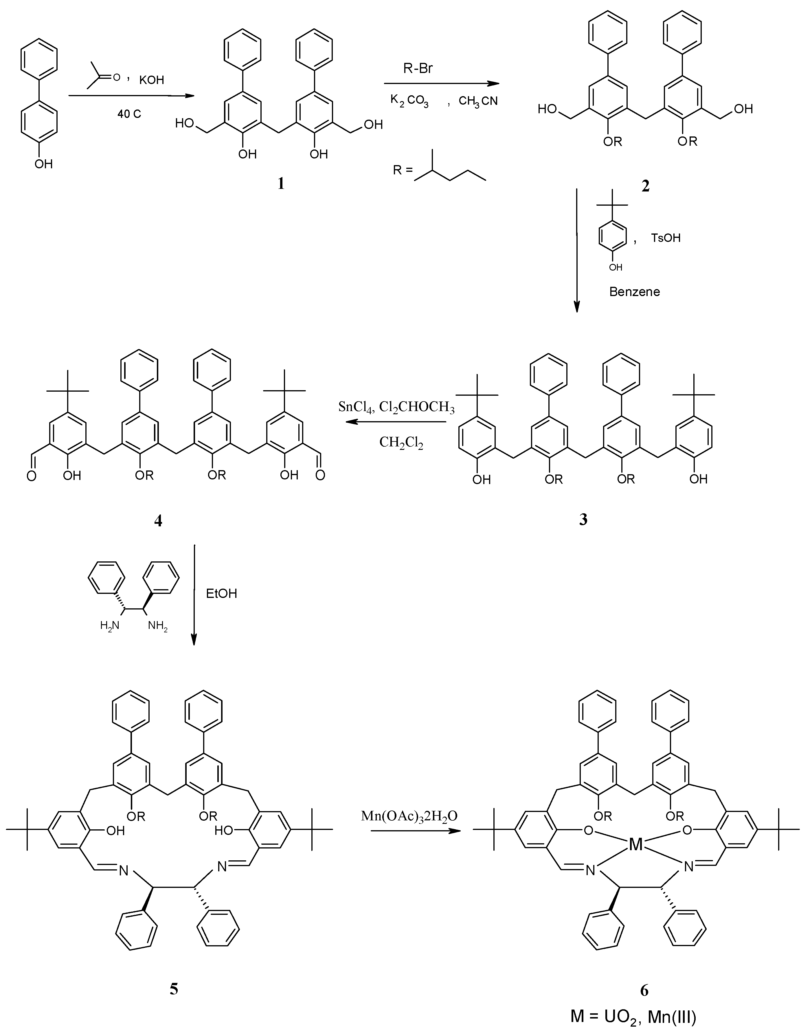 Molecules 15 01442 g005