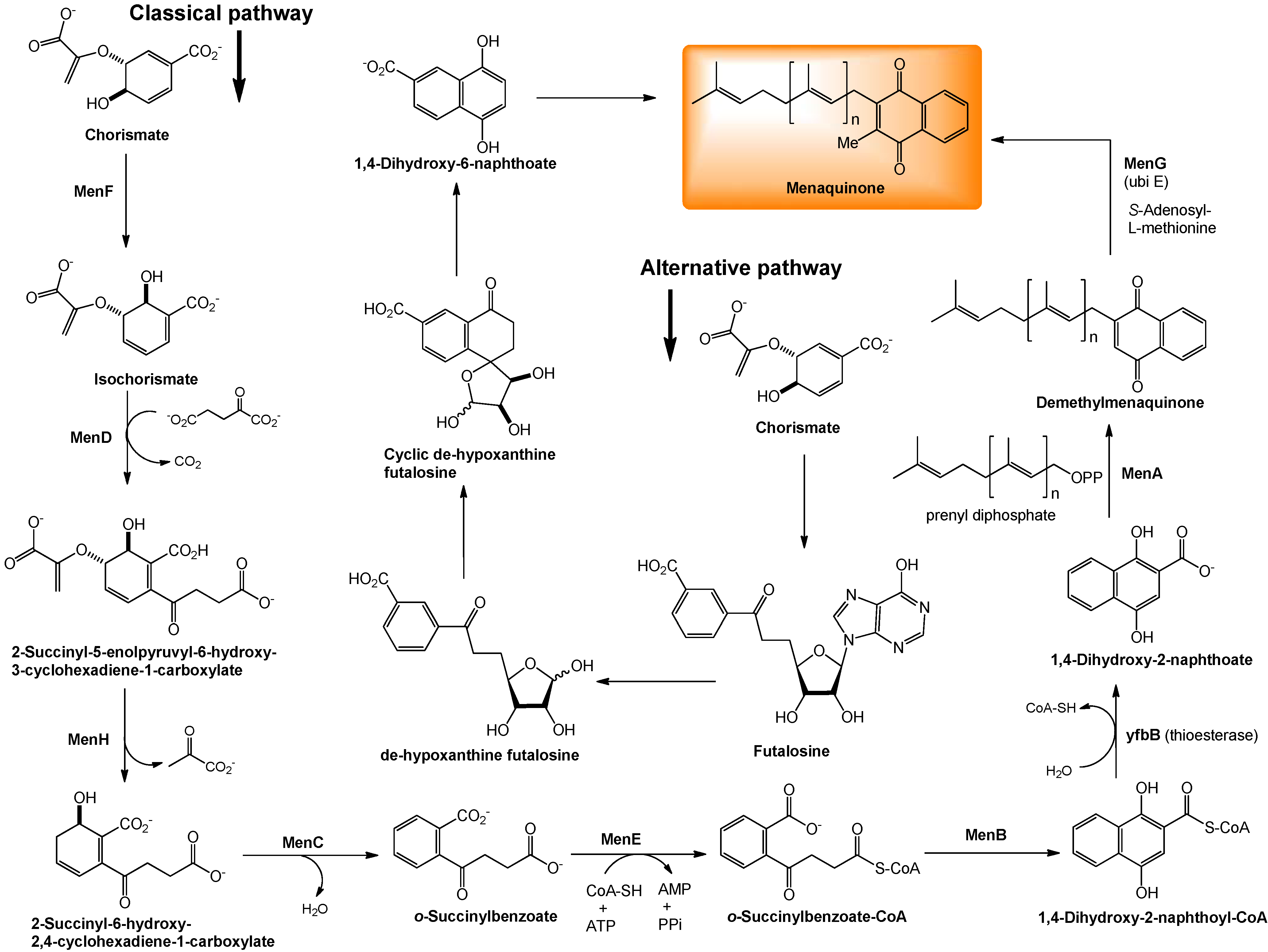 Molecules 15 01531 g004