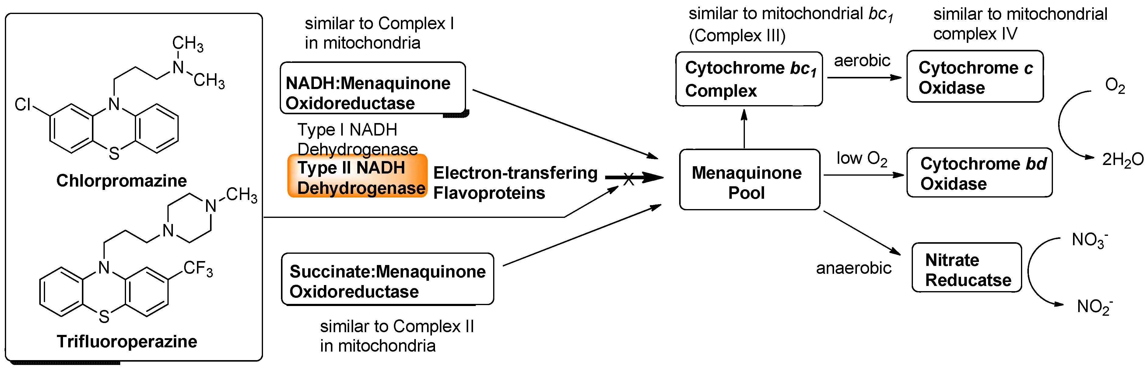 Molecules 15 01531 g006
