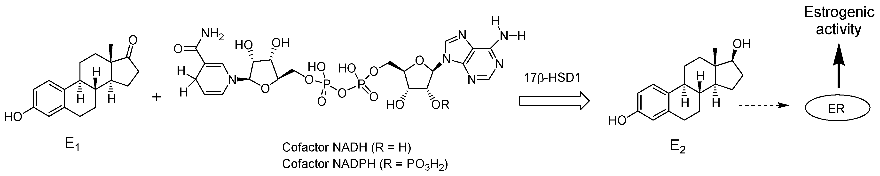 Molecules 15 01590 g001 550