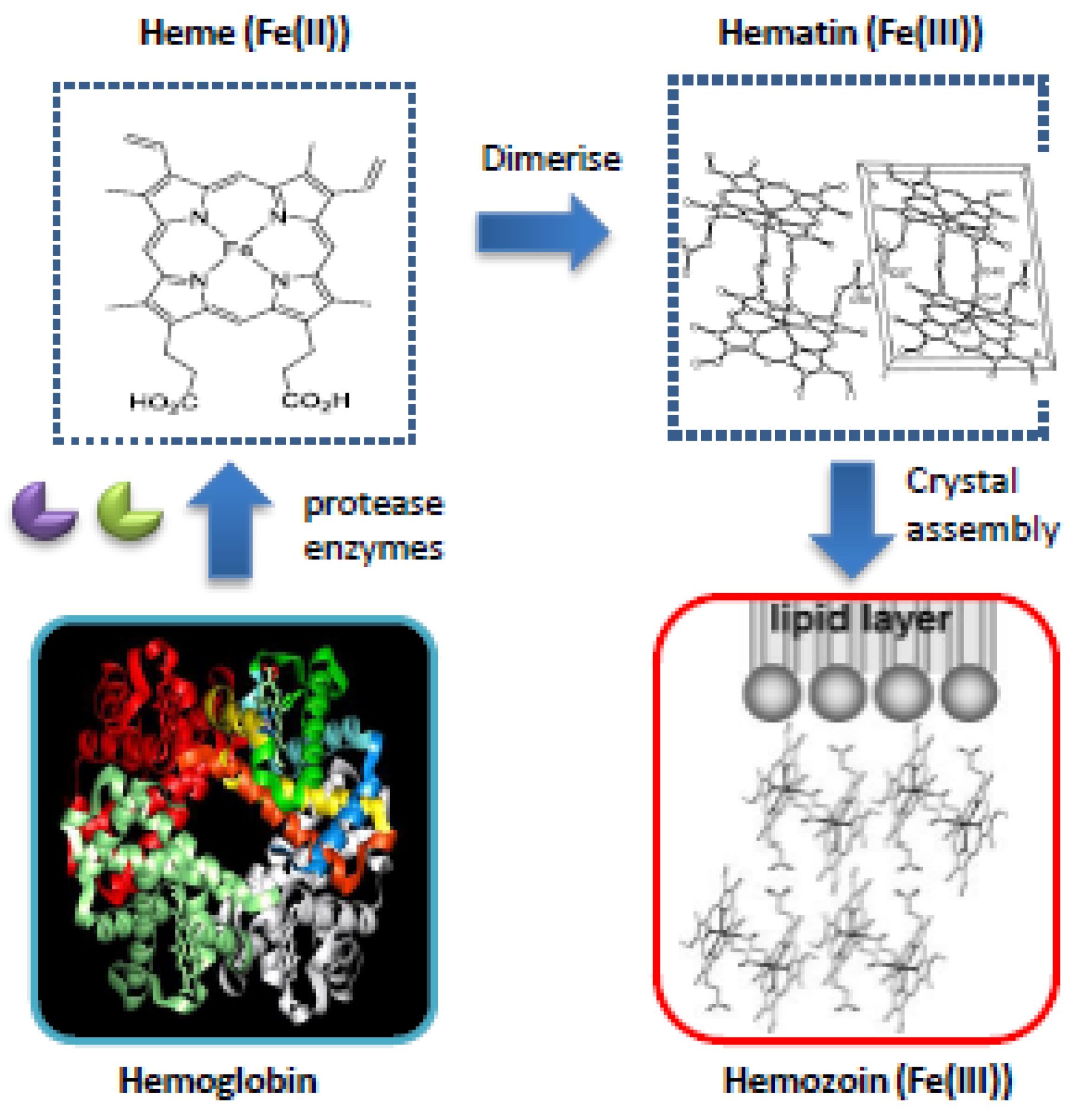 Molecules 15 01705 g002