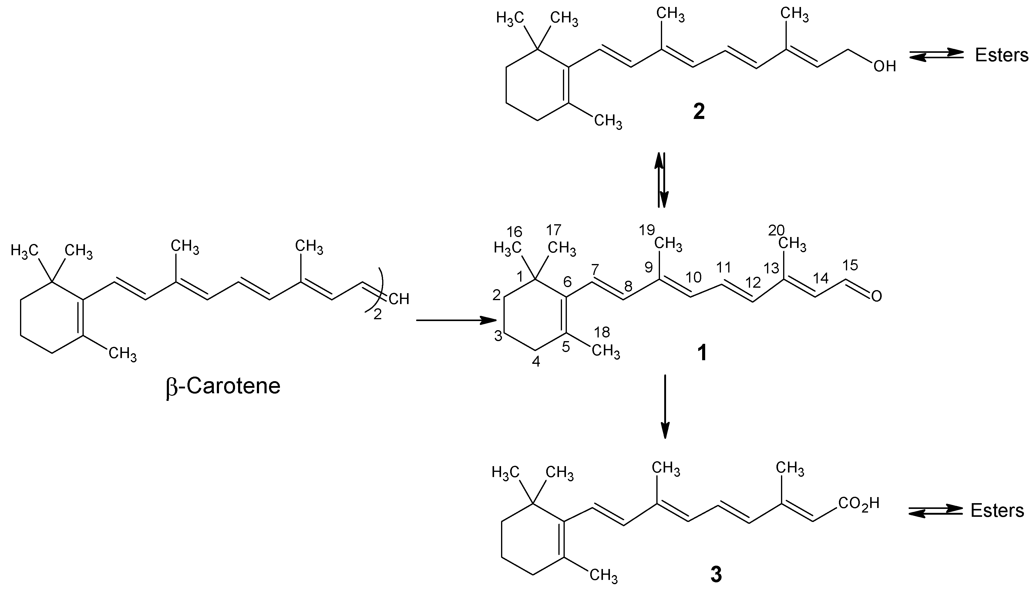 Molecules 15 01825 g002