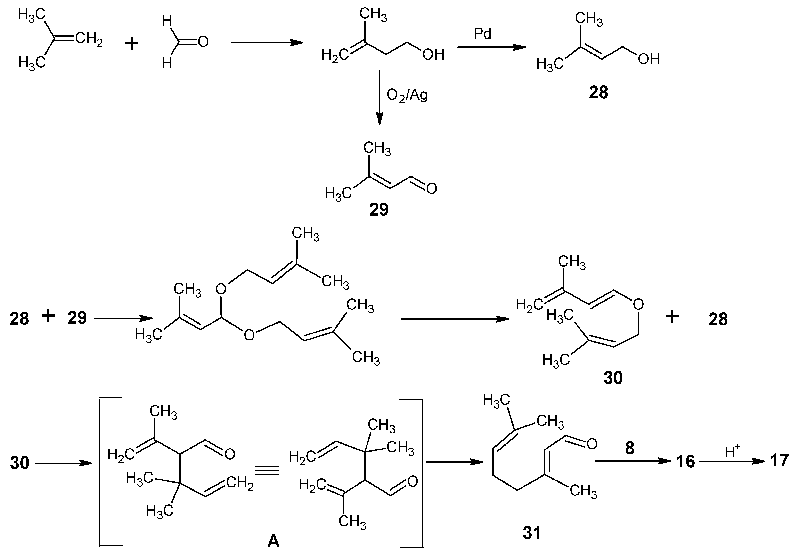 Molecules 15 01825 g006