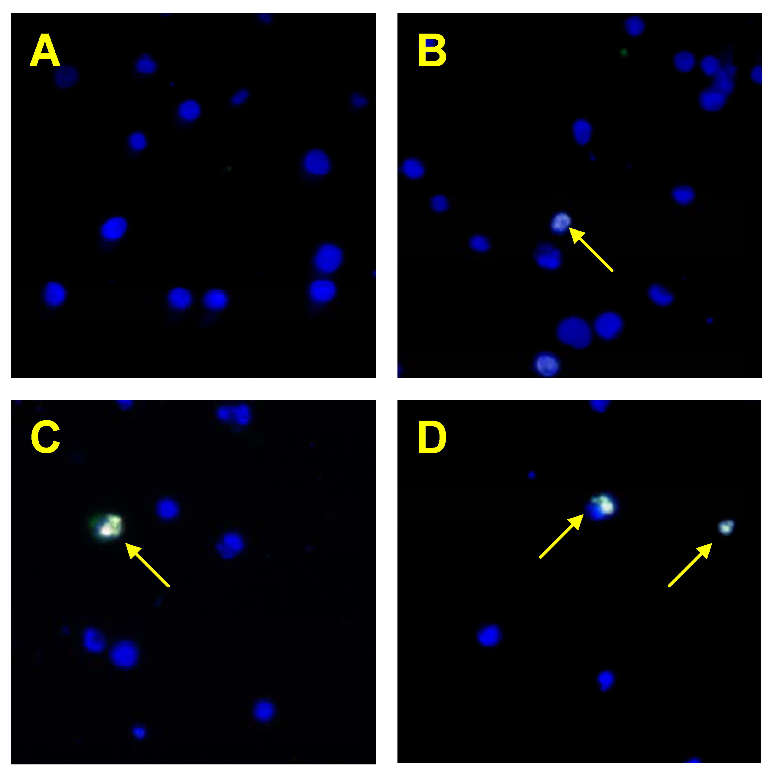 Molecules 15 02000 g006