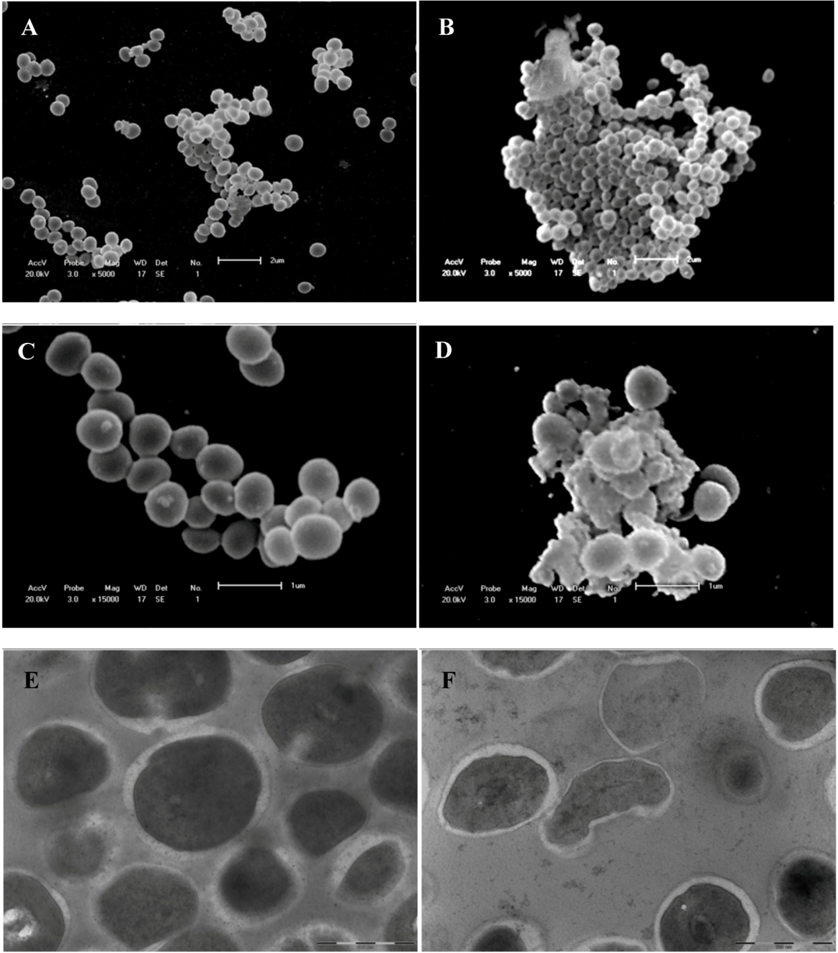Molecules 15 02060 g003 550