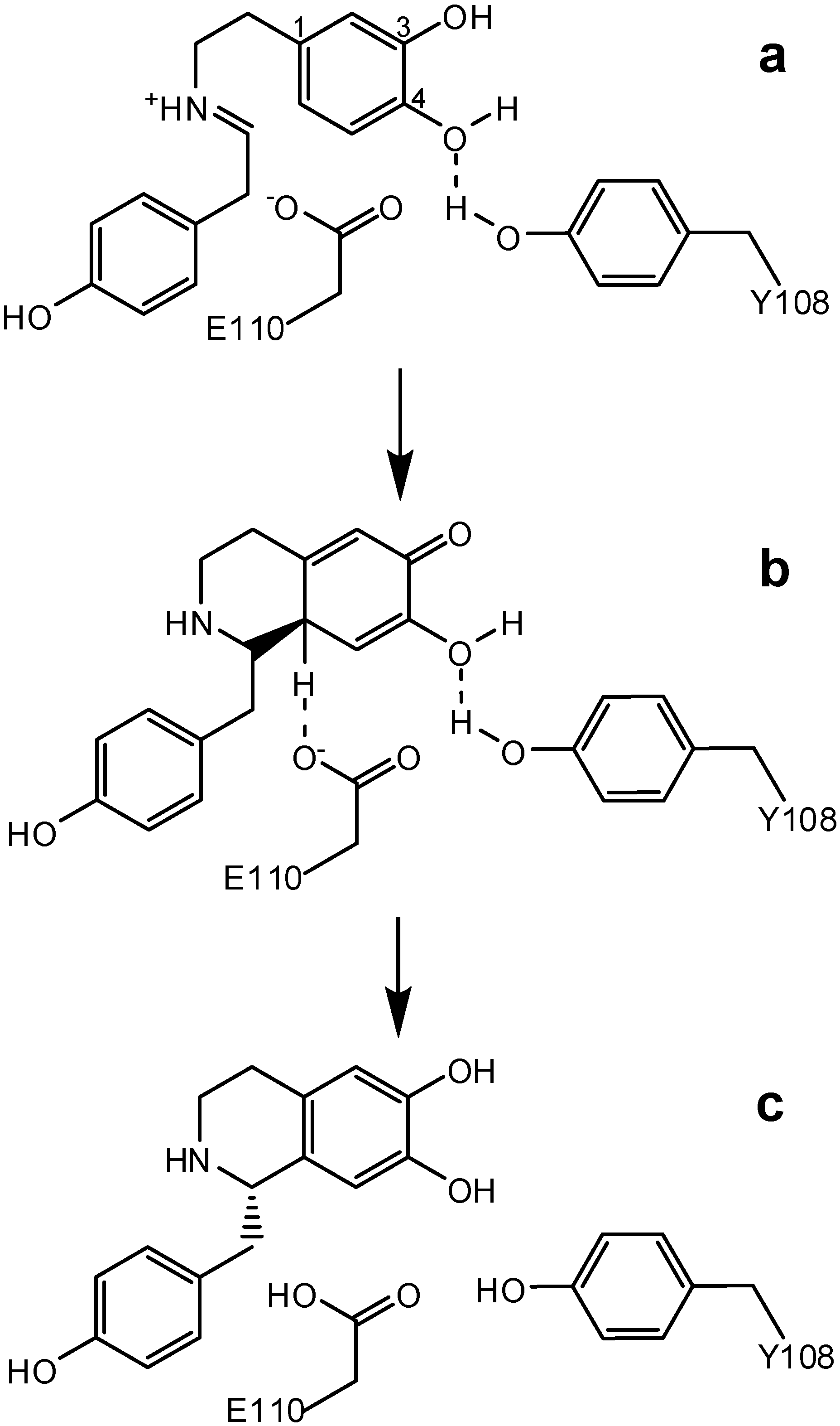 Molecules 15 02070 g004