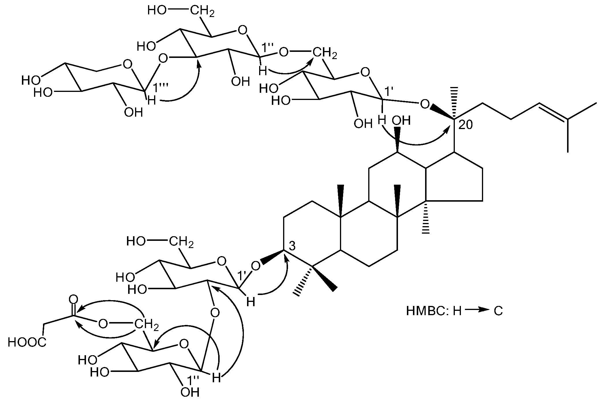 Molecules 15 02319 g002