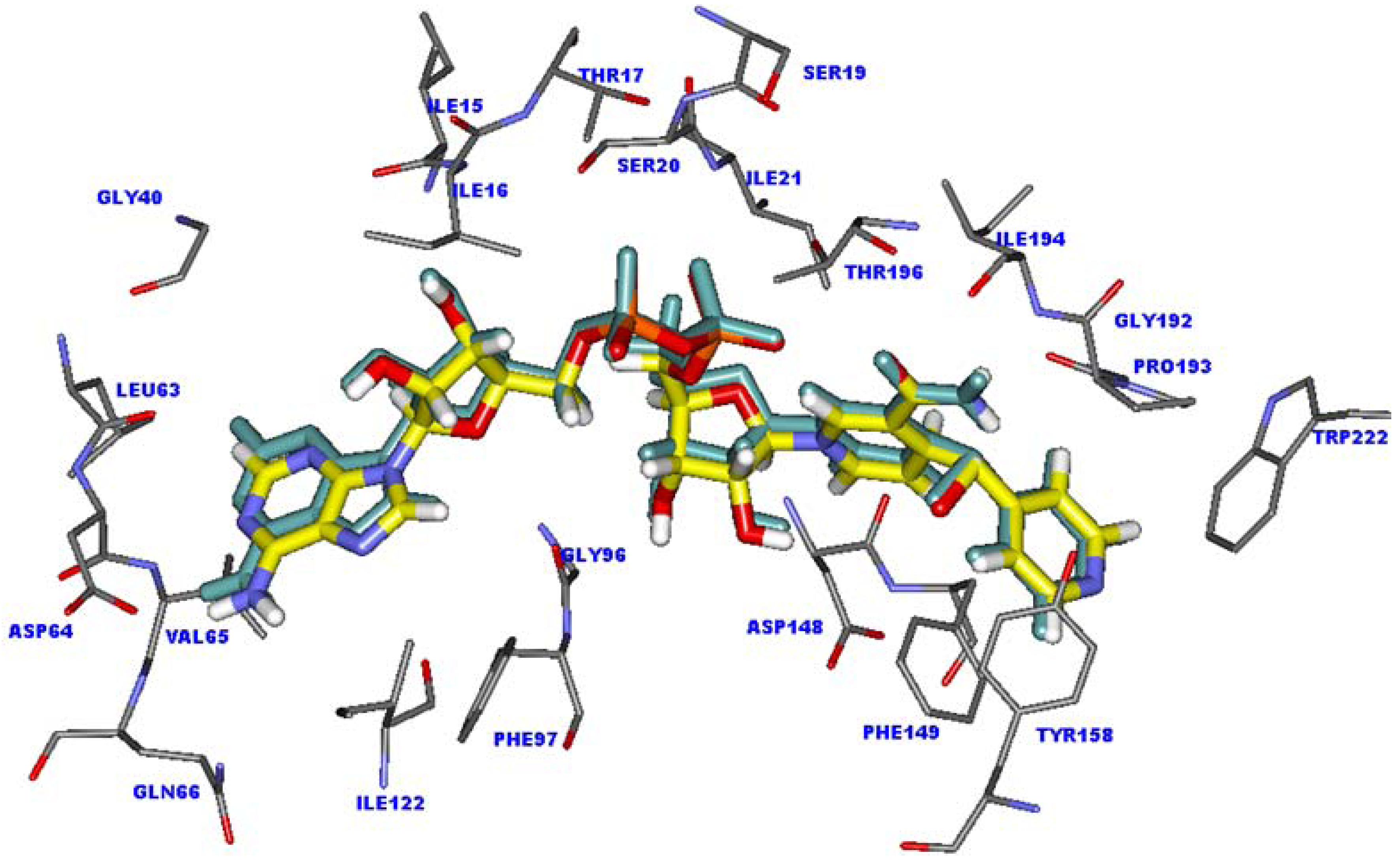 Molecules 15 02791 g001
