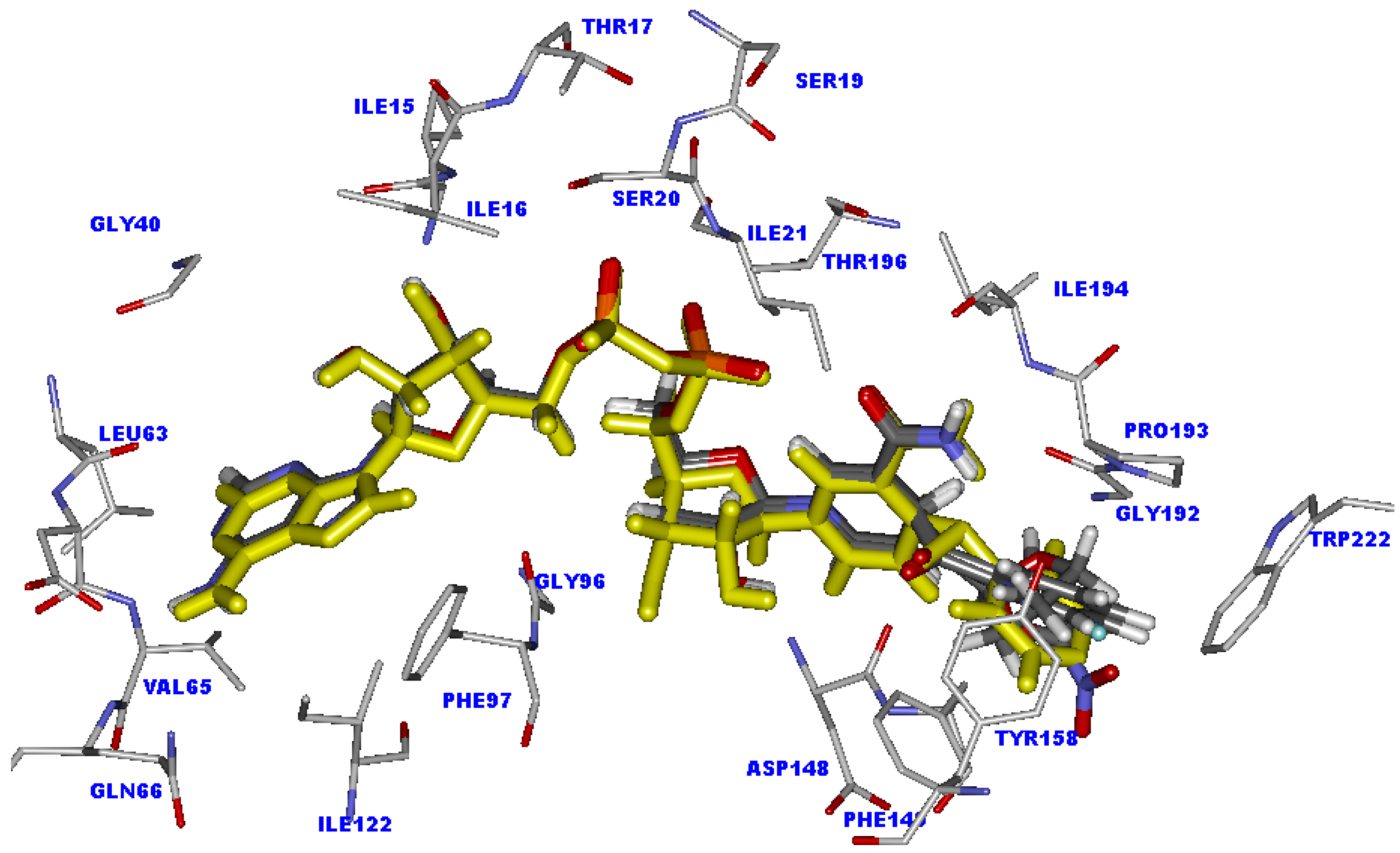 Molecules 15 02791 g003