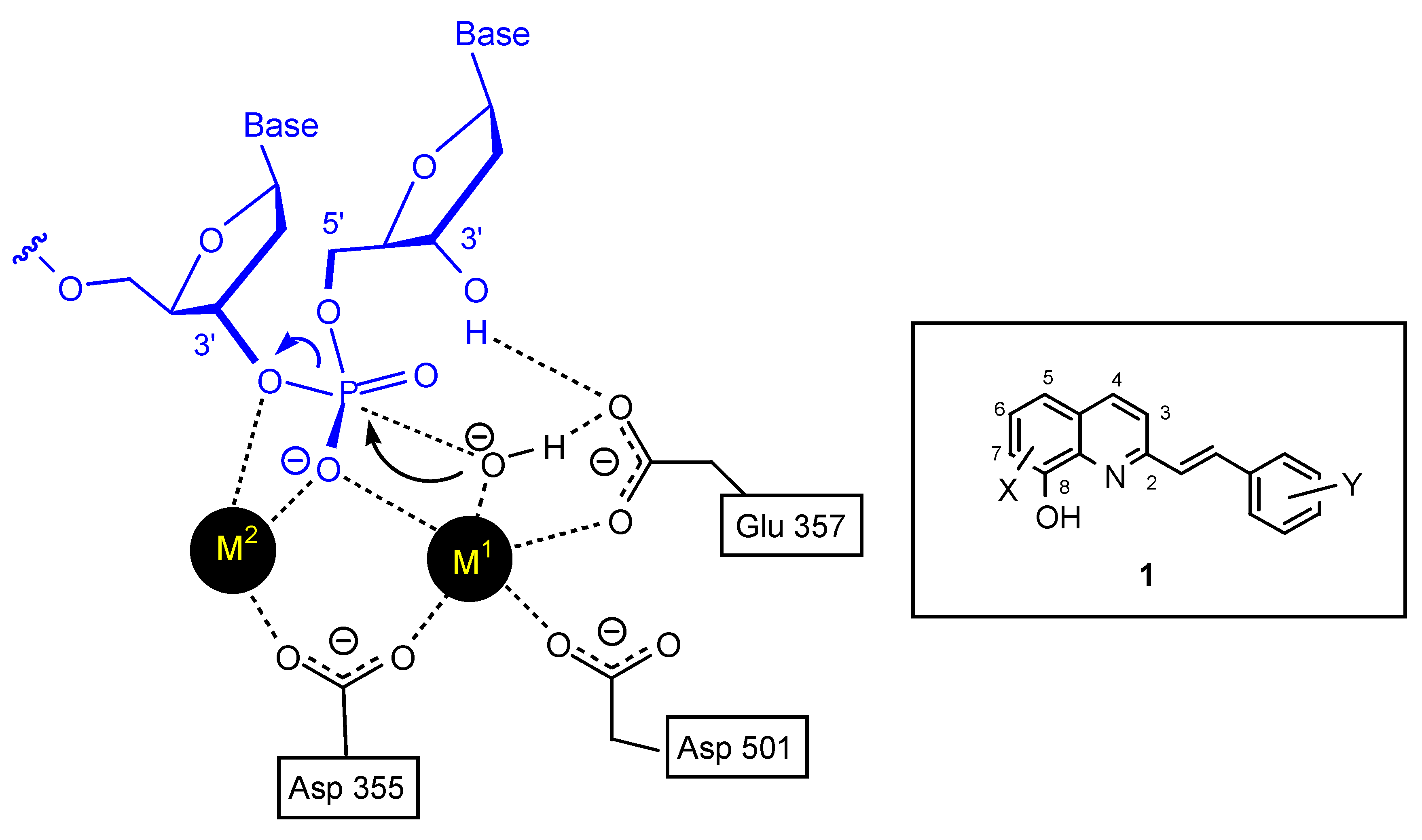 Molecules 15 03048 g002 550