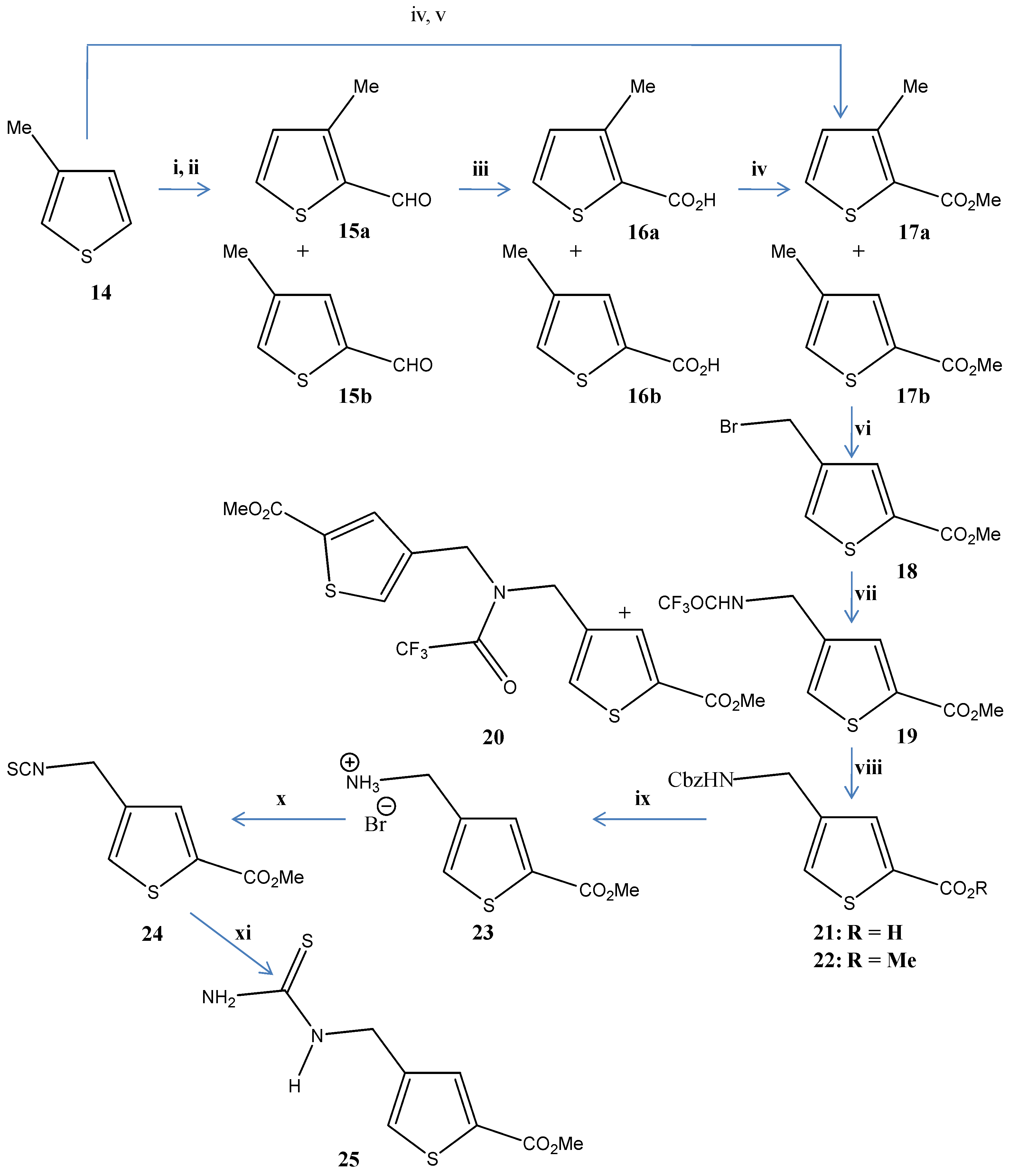 Molecules 15 03121 sch002