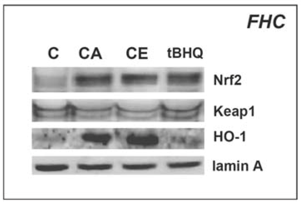 Molecules 15 03338 g005