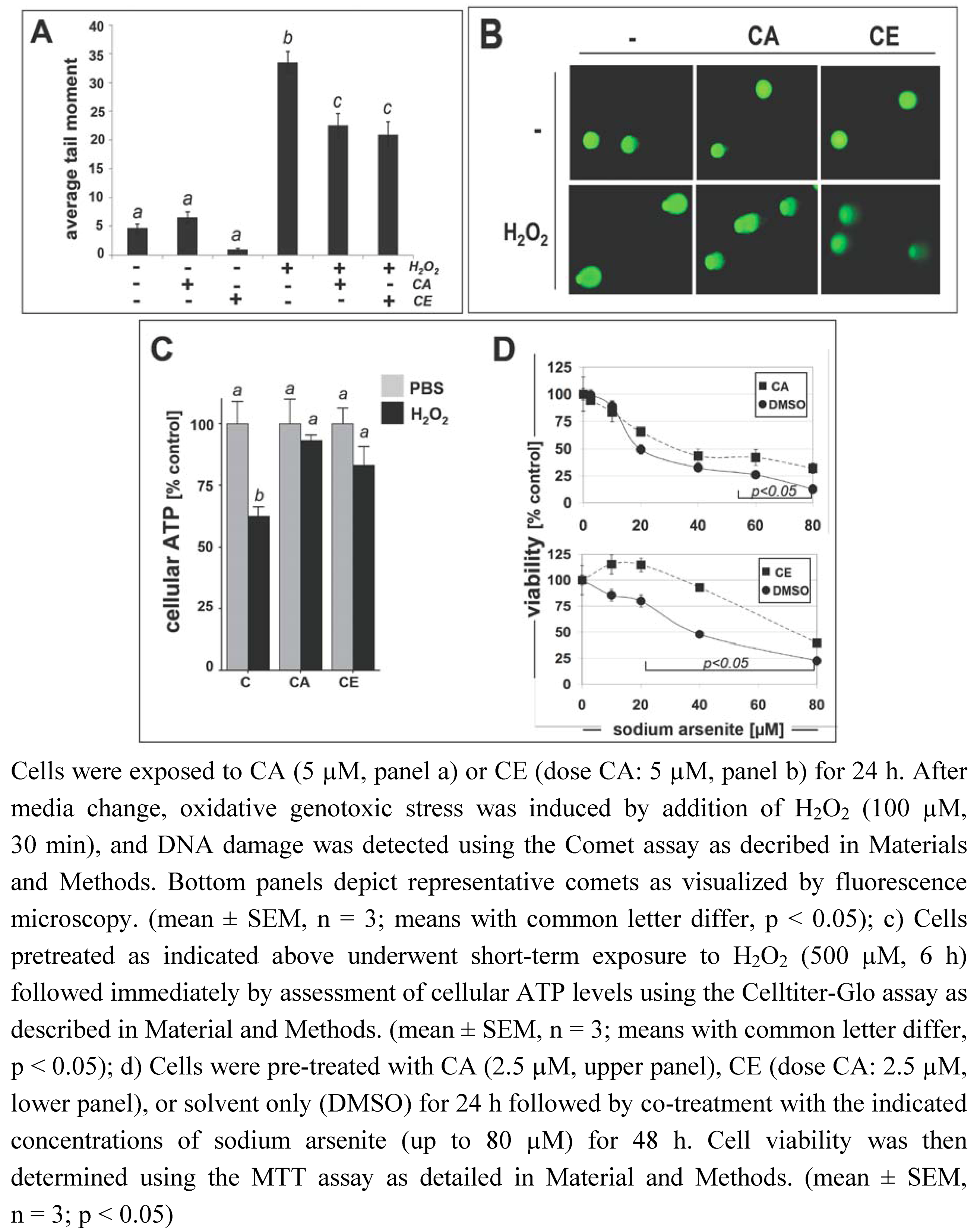 Molecules 15 03338 g007