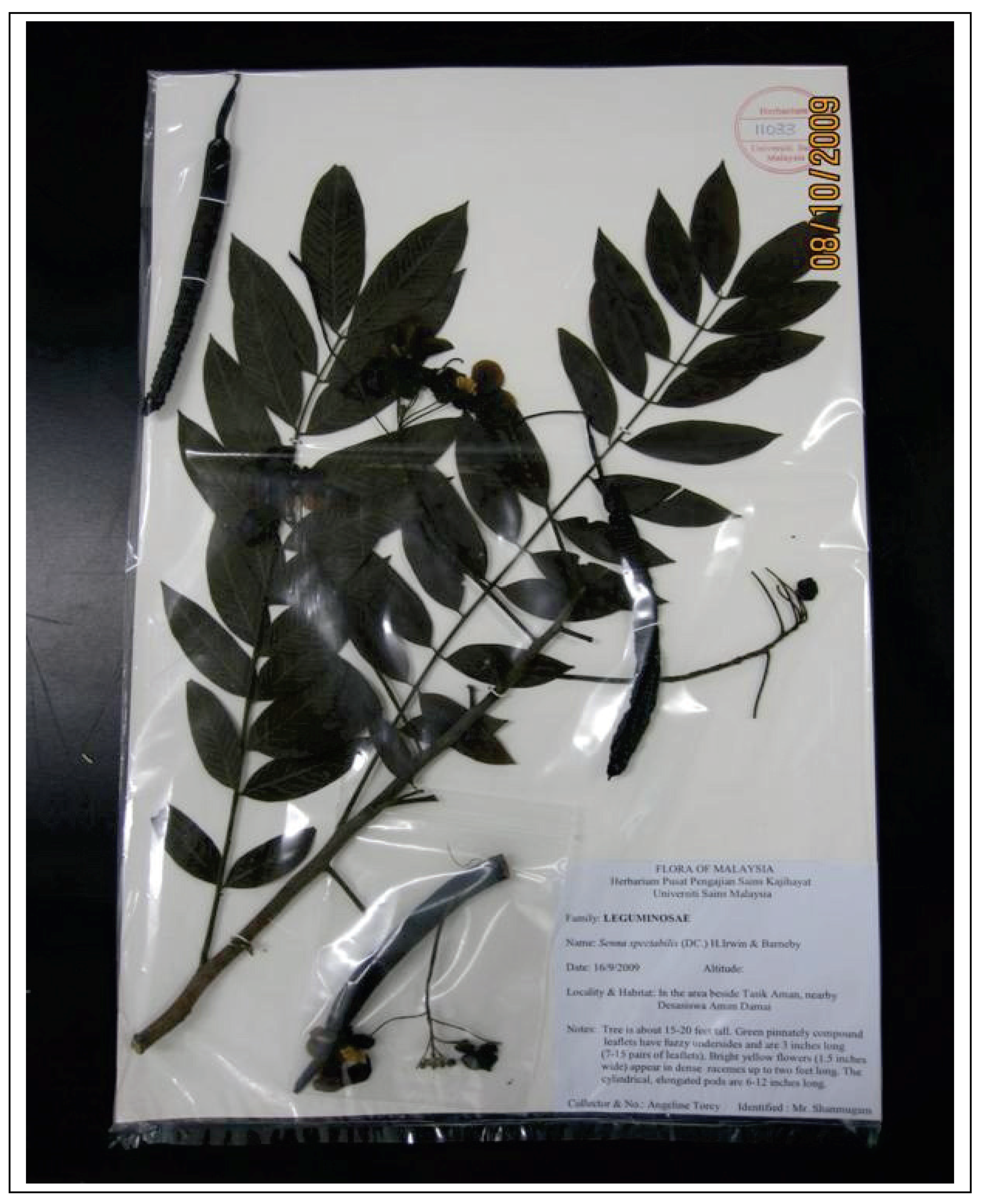 Molecules 15 03411 g001